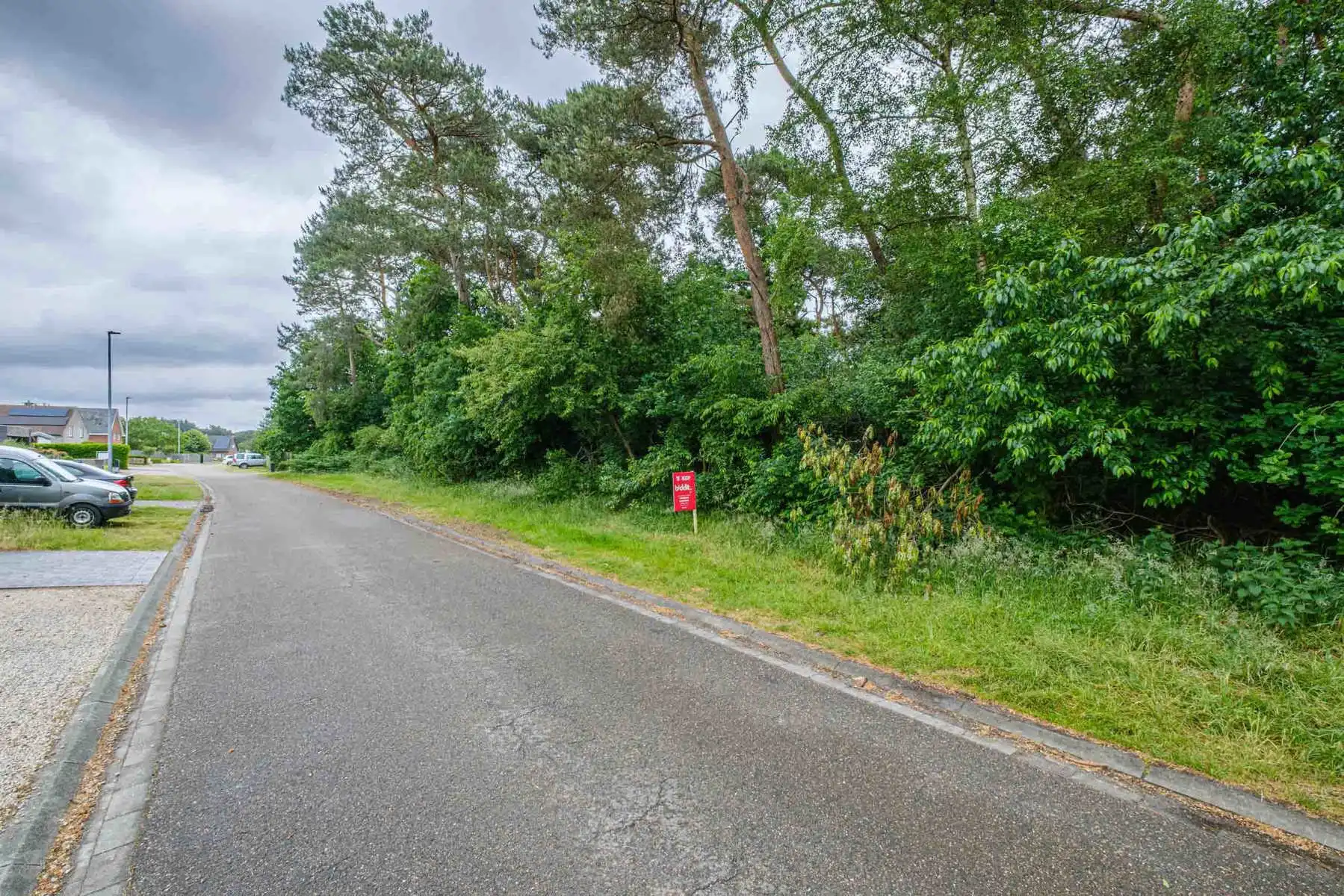 Bosgrond gelegen aan Molenveld - Balen  foto {{pictureIndex}}