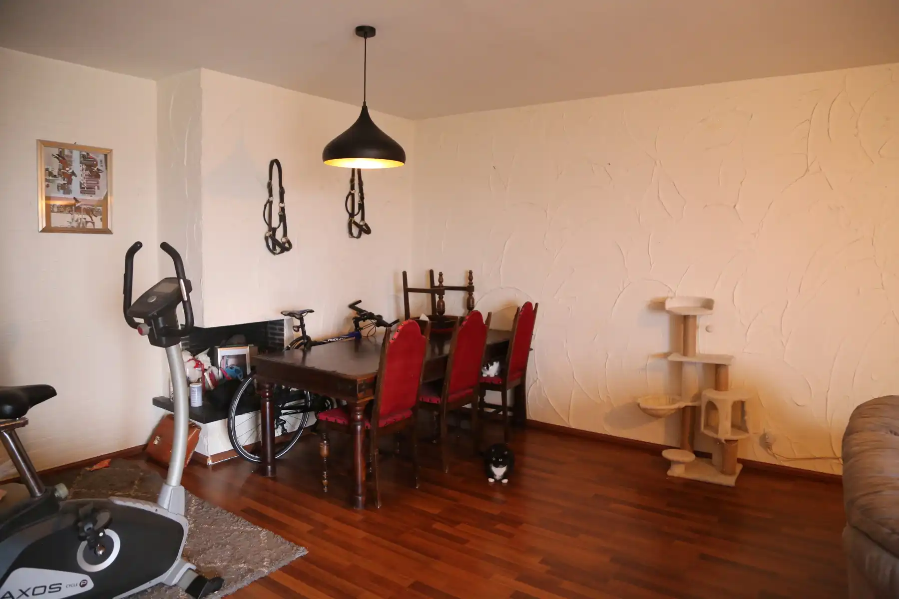 Appartement met ruime living en veel lichtinval op goed bereikbare locatie. foto 3