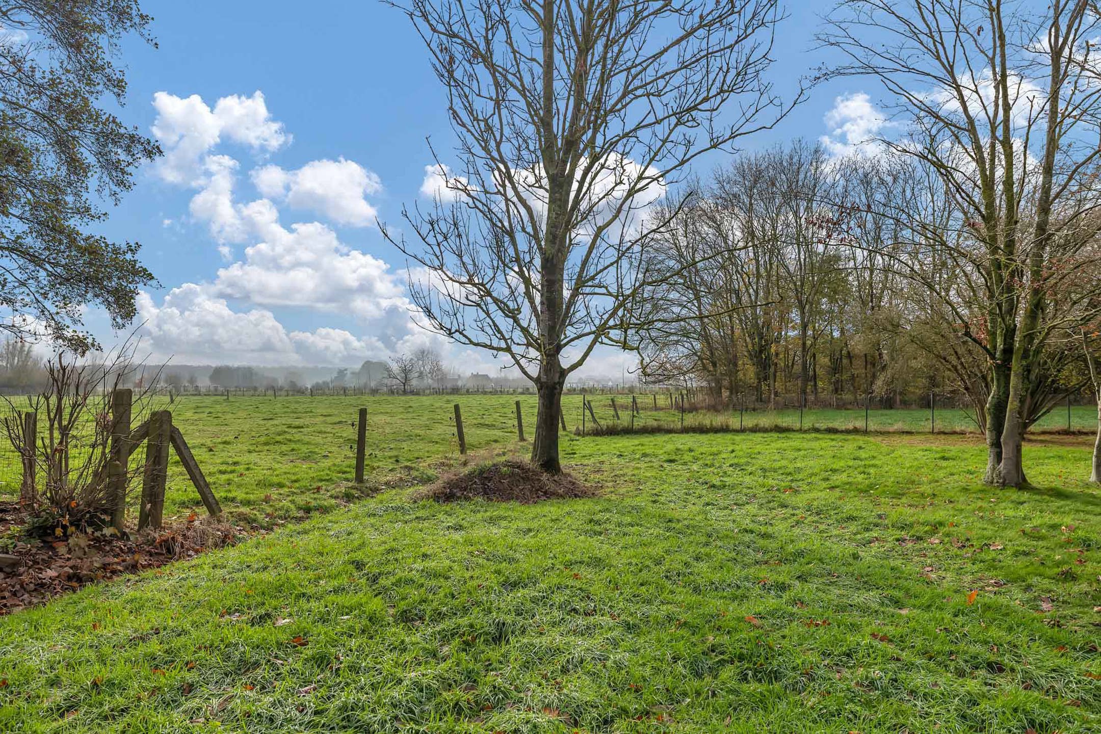Charmante woning op een prachtig perceel van maar liefst 2.320 m² foto 19
