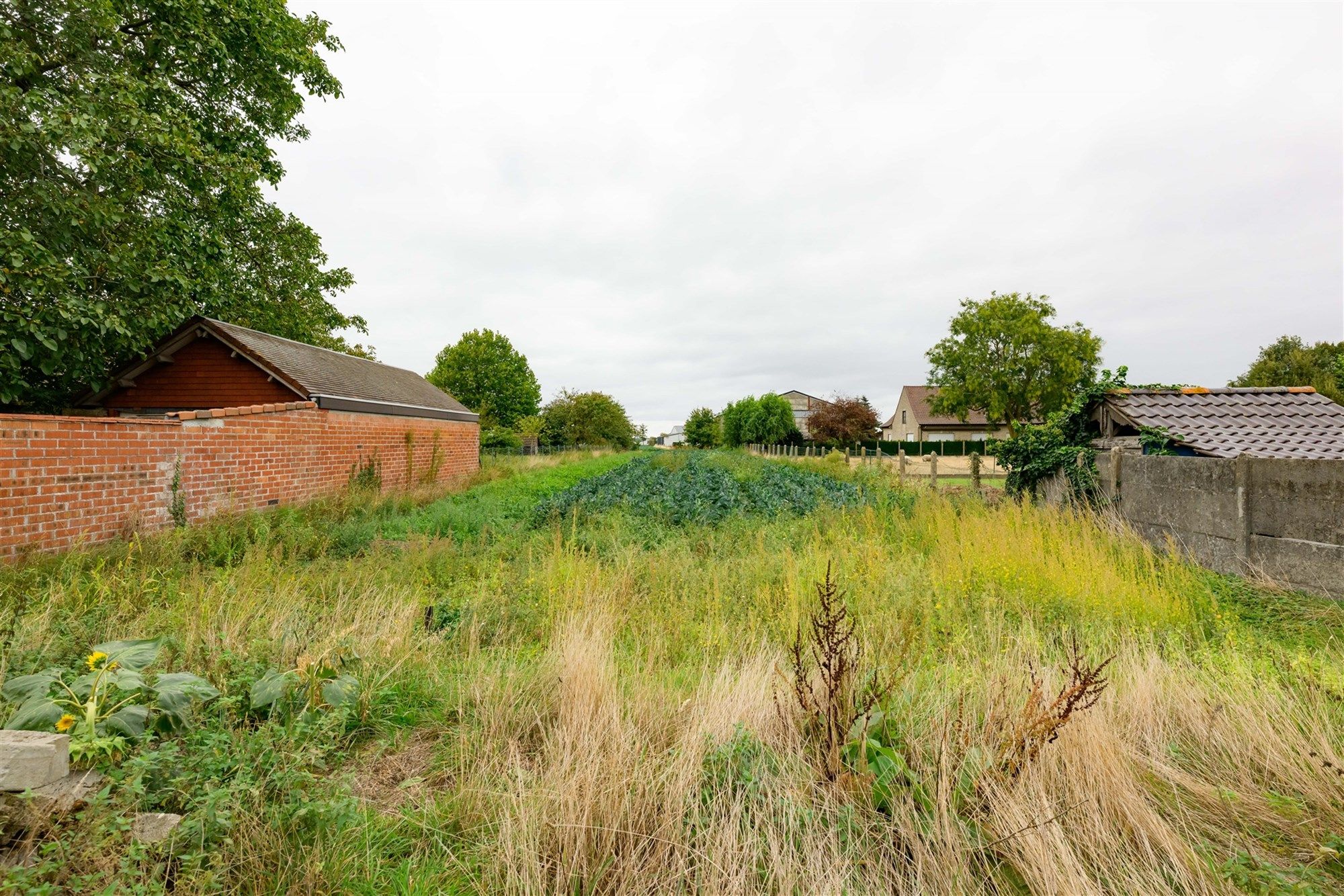 Huis foto 14