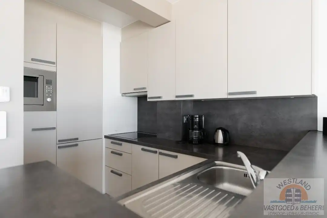 Instapklaar appartement met frontaal zeezicht foto 5