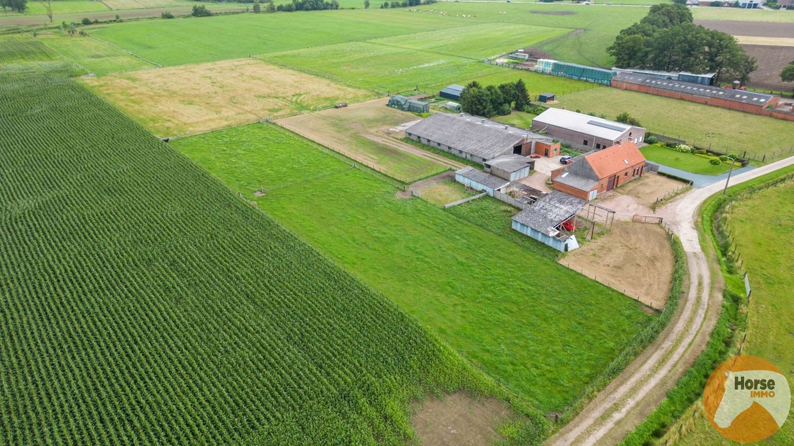 HEIST-OP-DEN-BERG - Te renoveren landbouwwoning met loods op 2,3 Ha foto 9