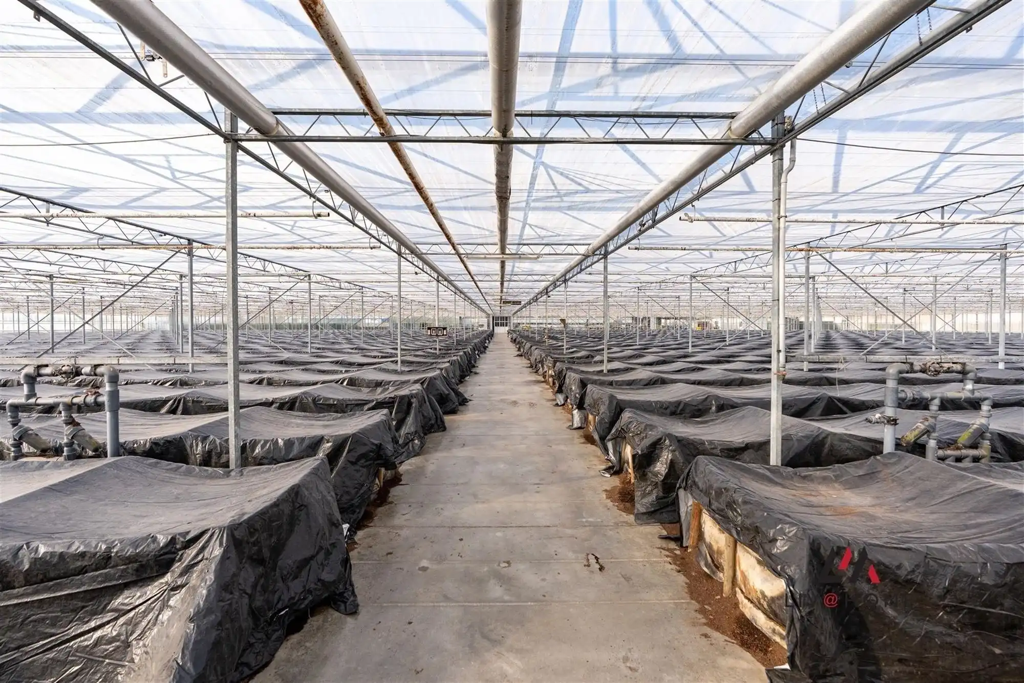 Moderne landbouwwoning met serre en loods op +/- 2  ha foto 29