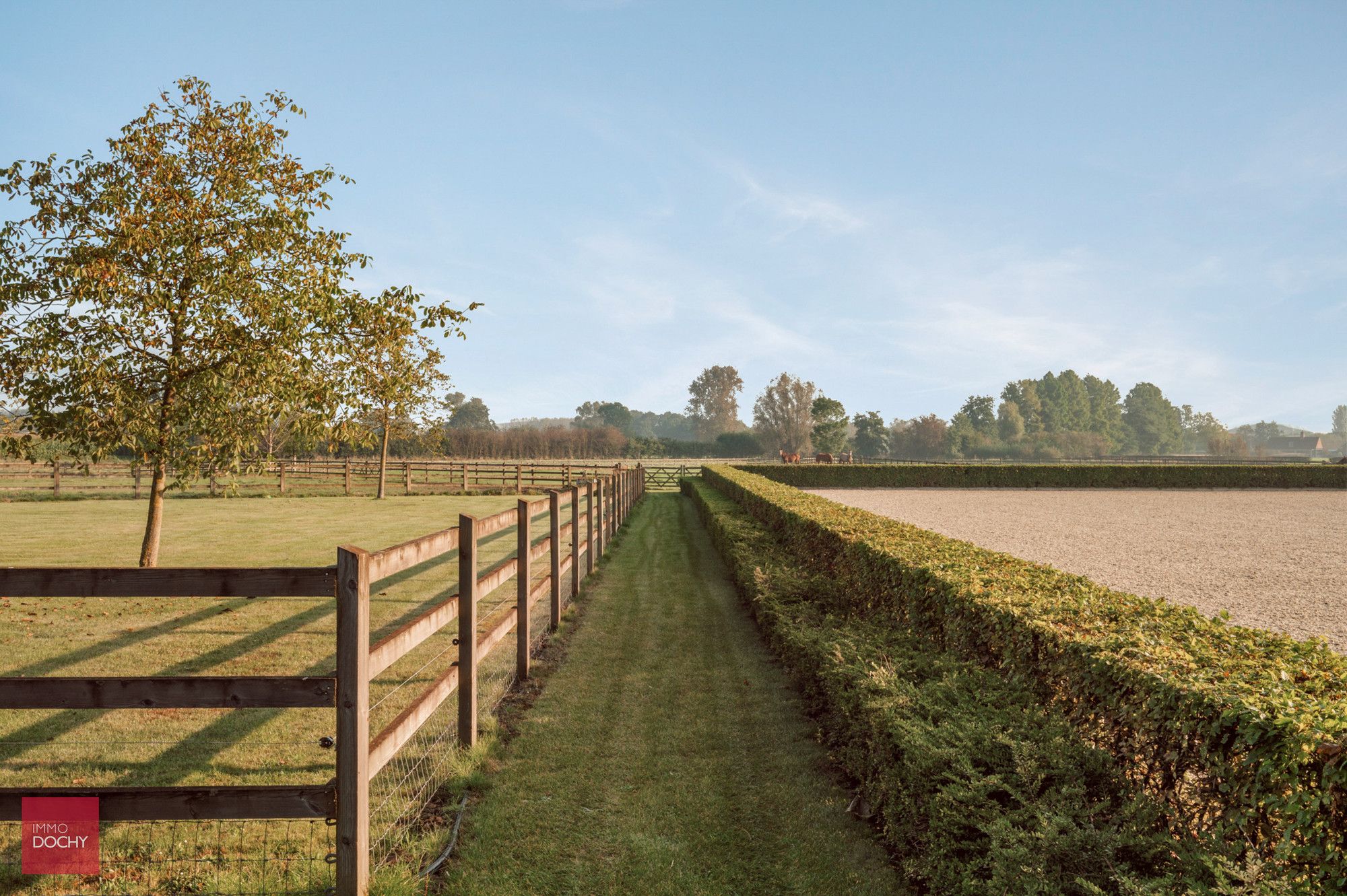 Unieke eigendom op ca. 6ha met paardenaccommodatie foto 8