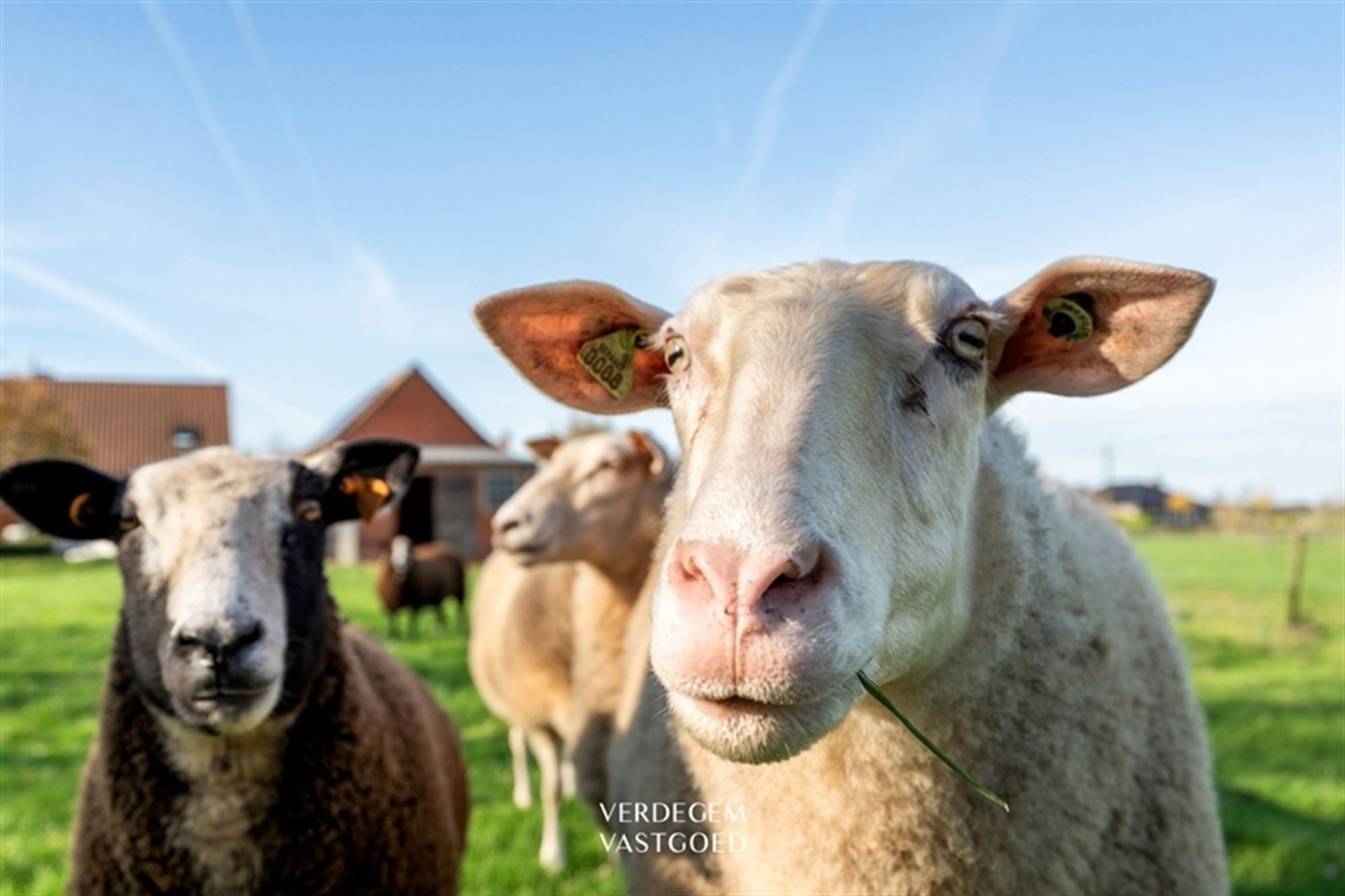 Prachtig gelegen landelijke villa op een perceel van 3.036m² foto 3