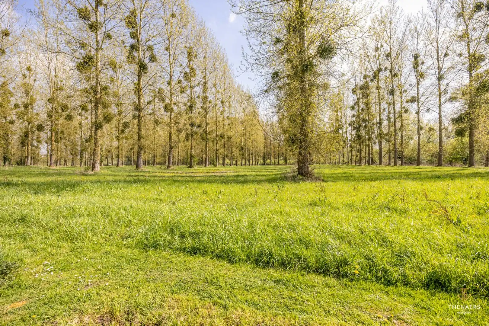 Ruime halfopen woning met 3 slaapkamers en prachtige tuin. foto 26