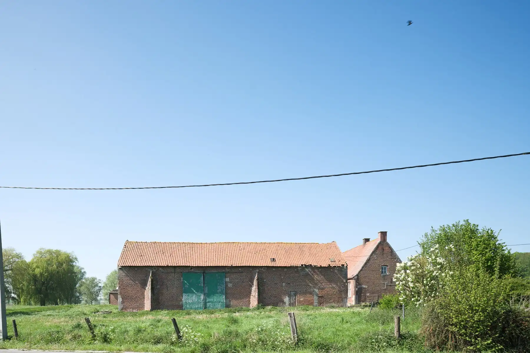 Een hectare groen, klaar voor jouw toekomst (zonevreemd!) foto 14