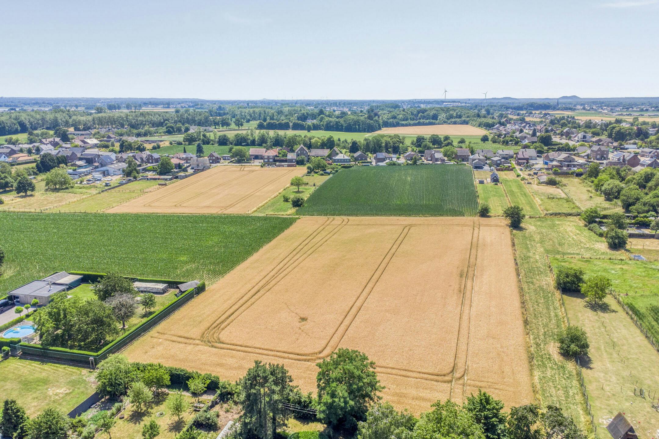 Instapklare langgevelhoeve met ruimte voor vrij beroep te koop in Rotem foto 20