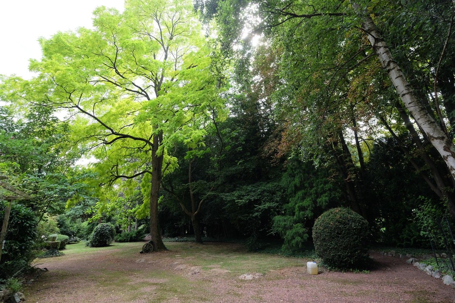 Uniek perceel met een charmante vakantiewoning midden in de natuur omgeven door een uitzonderlijke collectie van prachtige bomen. foto 15