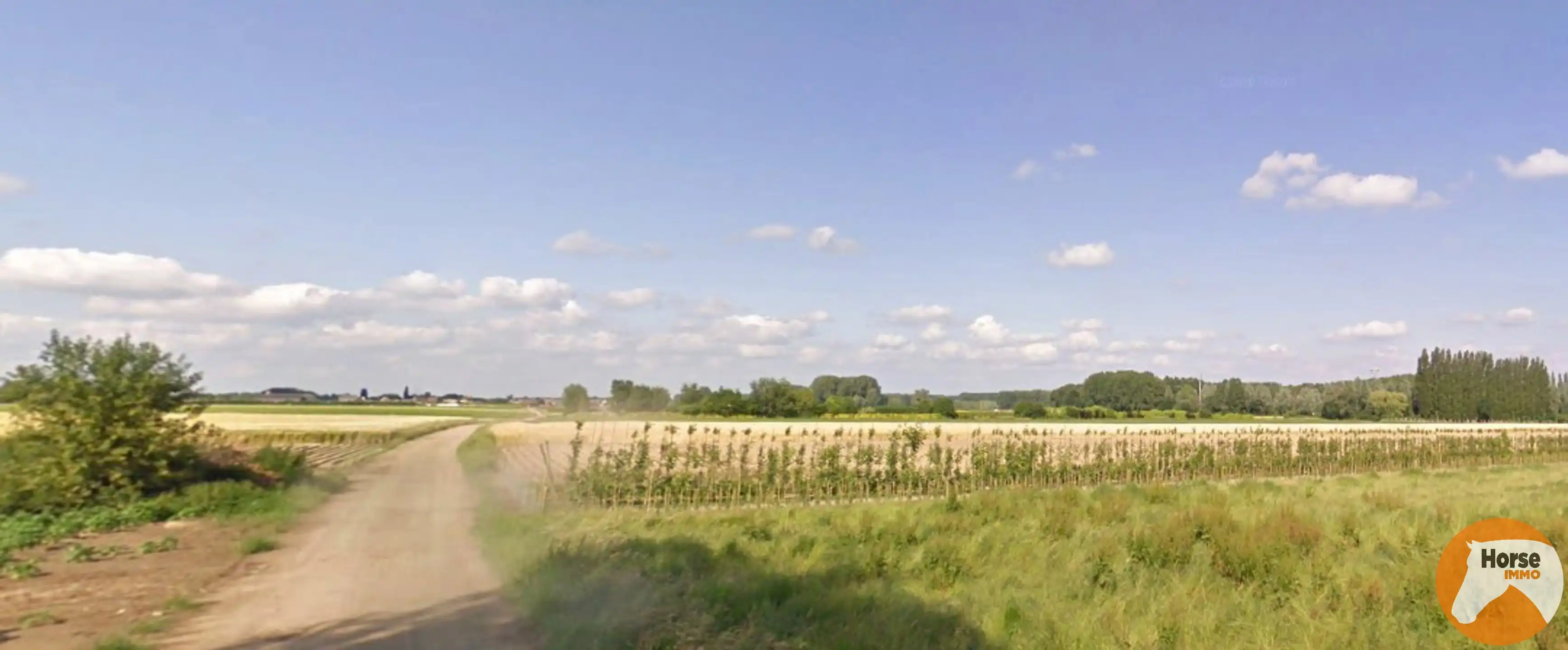 OORDEGEM - Landbouwgrond op 22a 30ca foto 2