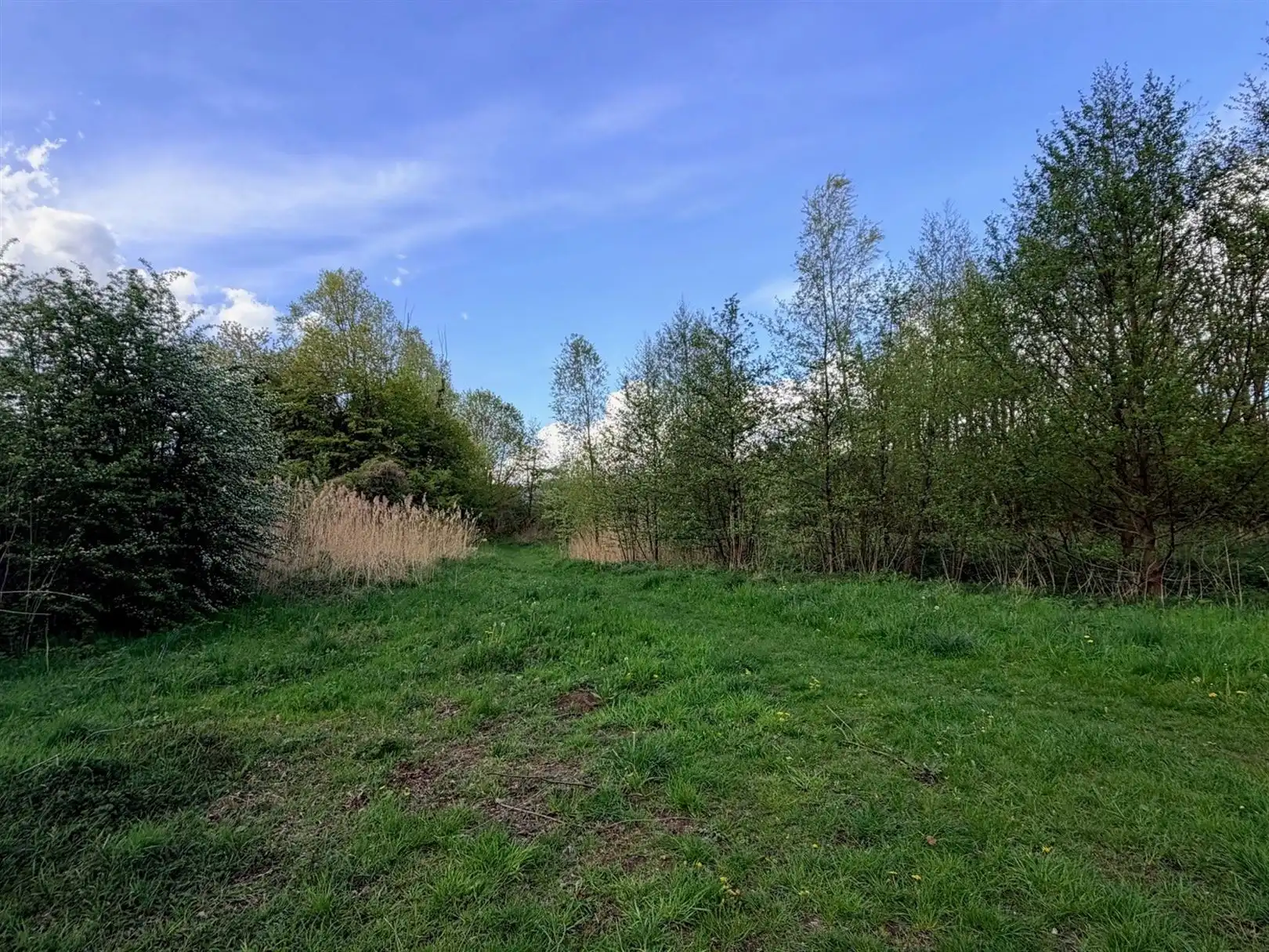 Te renoveren hoekwoning met uitbreidingspotentie foto 18