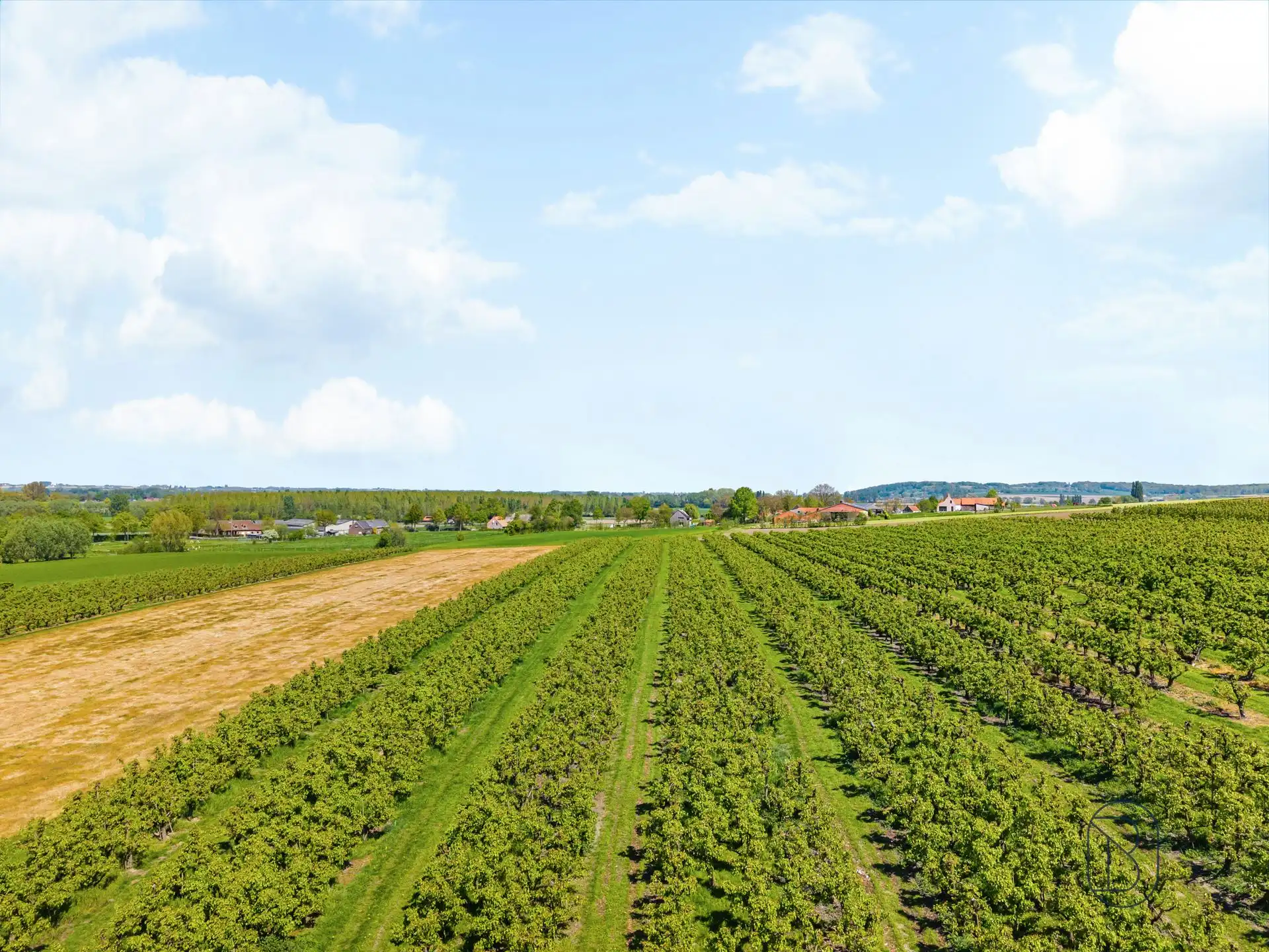 Unieke eigendom op 18 hectare te Kwaremont foto 3