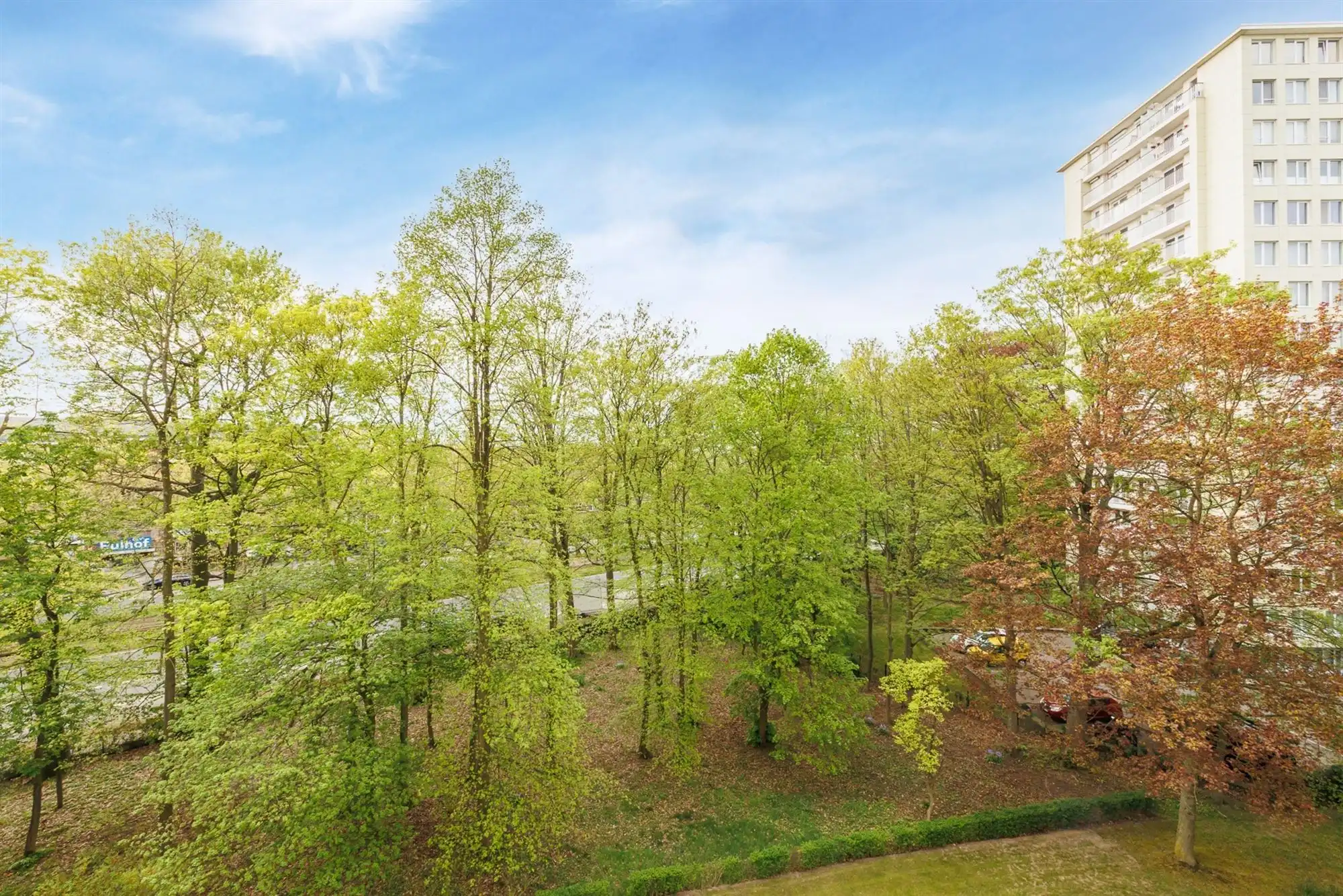 Gerenoveerd 2 Slaapkamer appartement met terras in Berchem foto 14