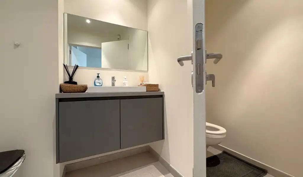 Gelijkvloers kantoor te huur nabij het centraal station Antwerpen foto 12