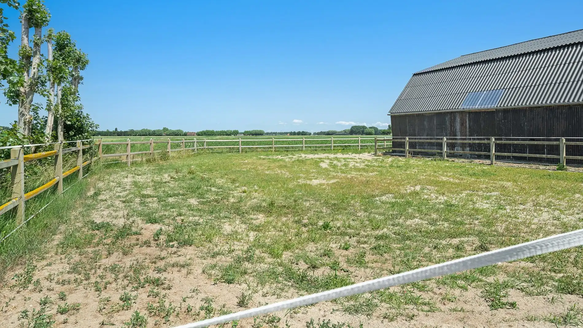 Een buitenkans voor paardenliefhebbers foto 11