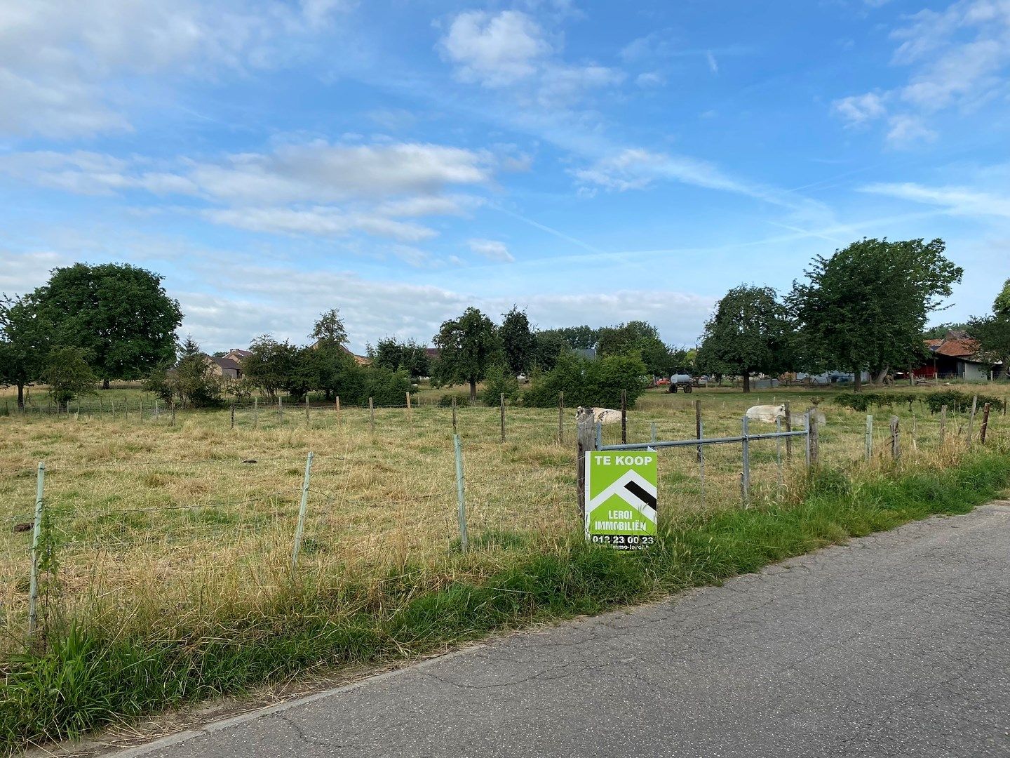 Mooi perceel bouwgrond voor open bebouwing - rustige ligging te Tongeren-Lauw foto 3
