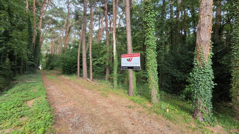 Residentieel gelegen bouwgrond van 31 are met 37 are bosgrond foto 3