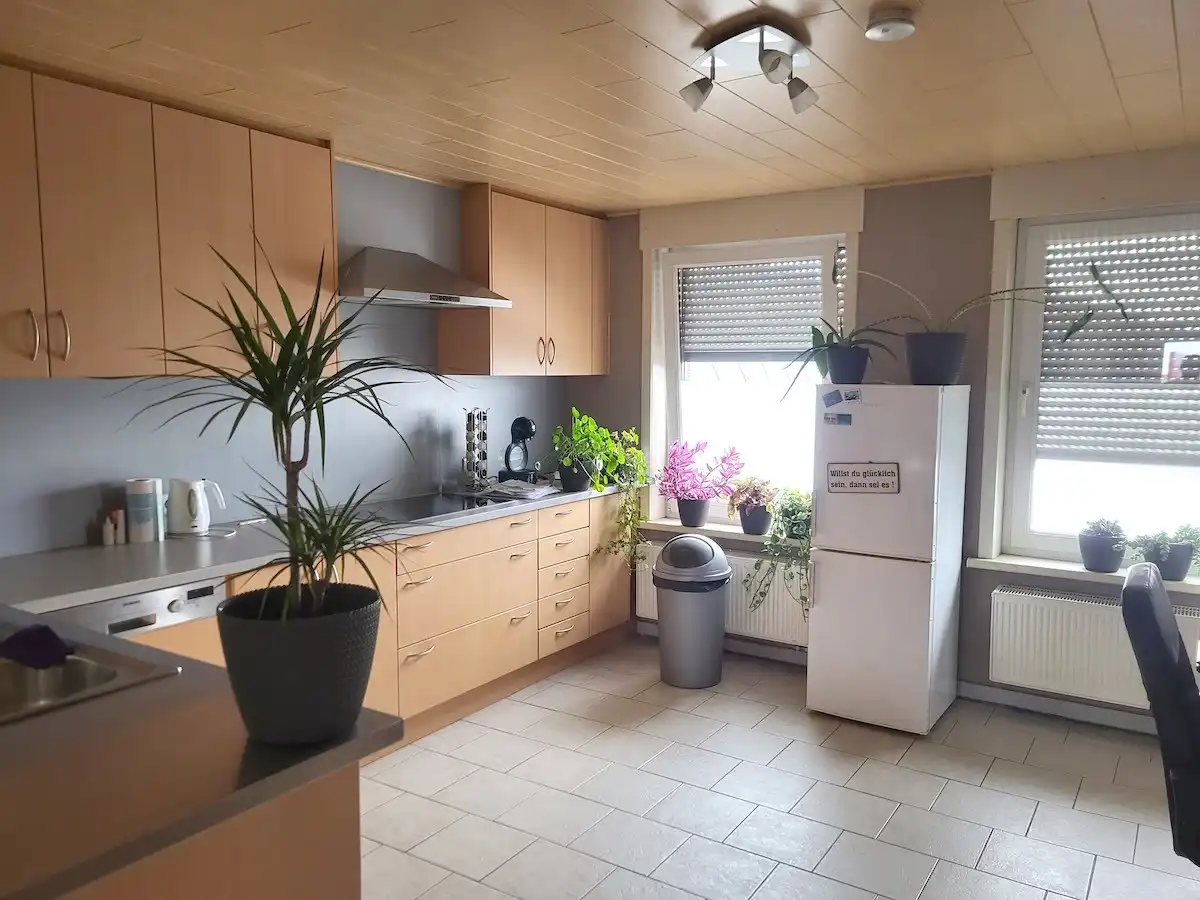 Beselare - Investeringspand met kantoorruimte en 2 verhuurde appartementen foto 11