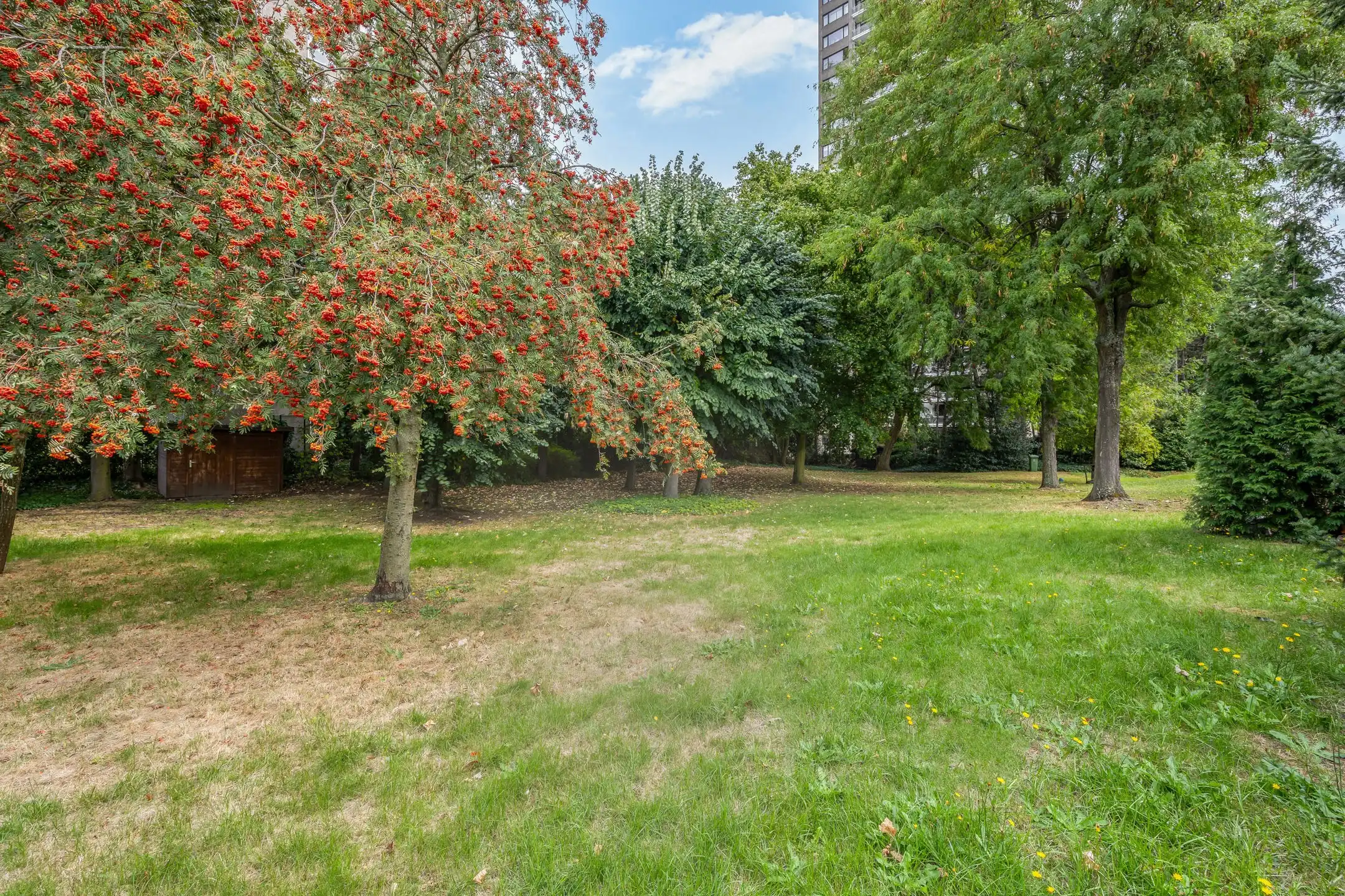 goed verzorgde woning met 3 slaapkamers , garage en terras foto 30