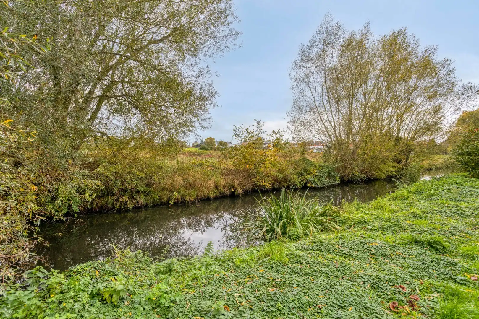 Eclectisch burgerhuis met landelijke verzichten op 2659 m² in centrum Kuurne. foto 25