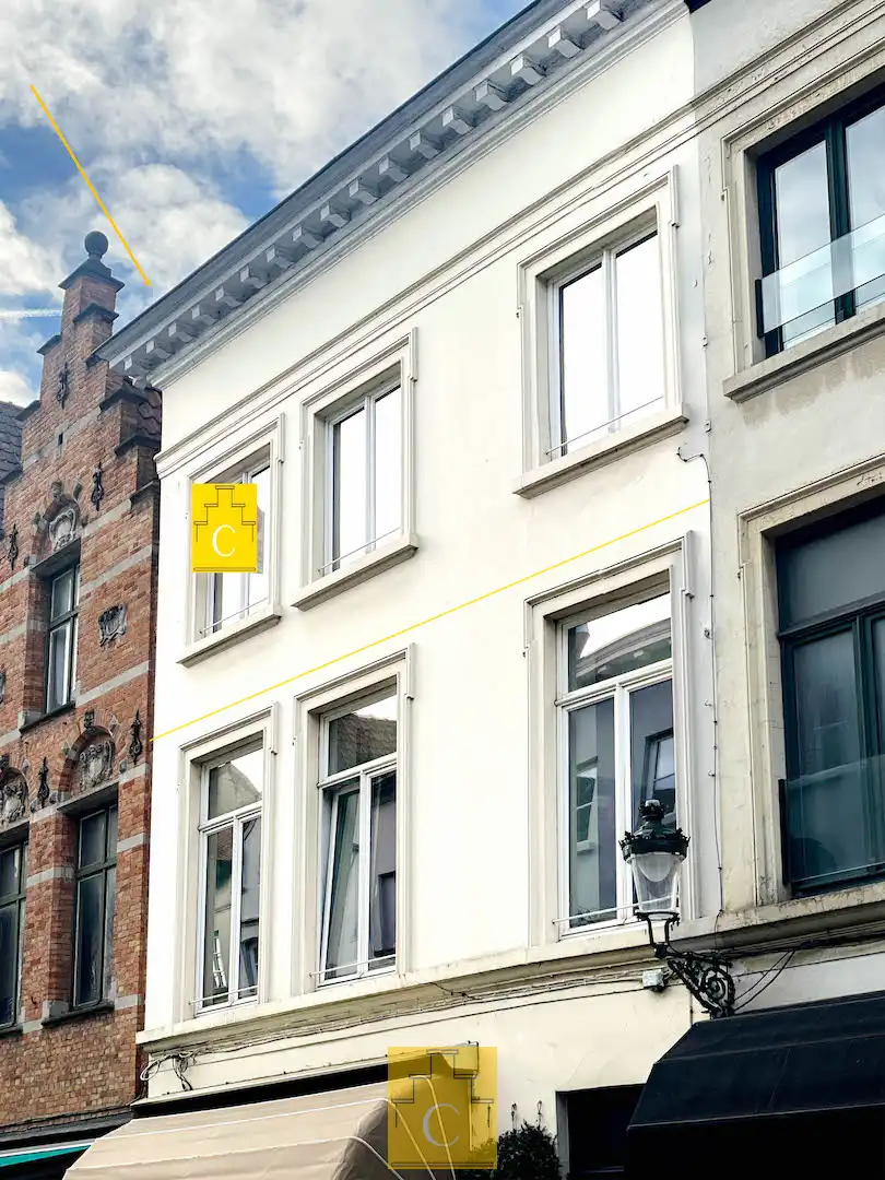 knap dakappartement in 19e eeuws herenhuis met zonnig terras en adembenemende uitzichten foto {{pictureIndex}}