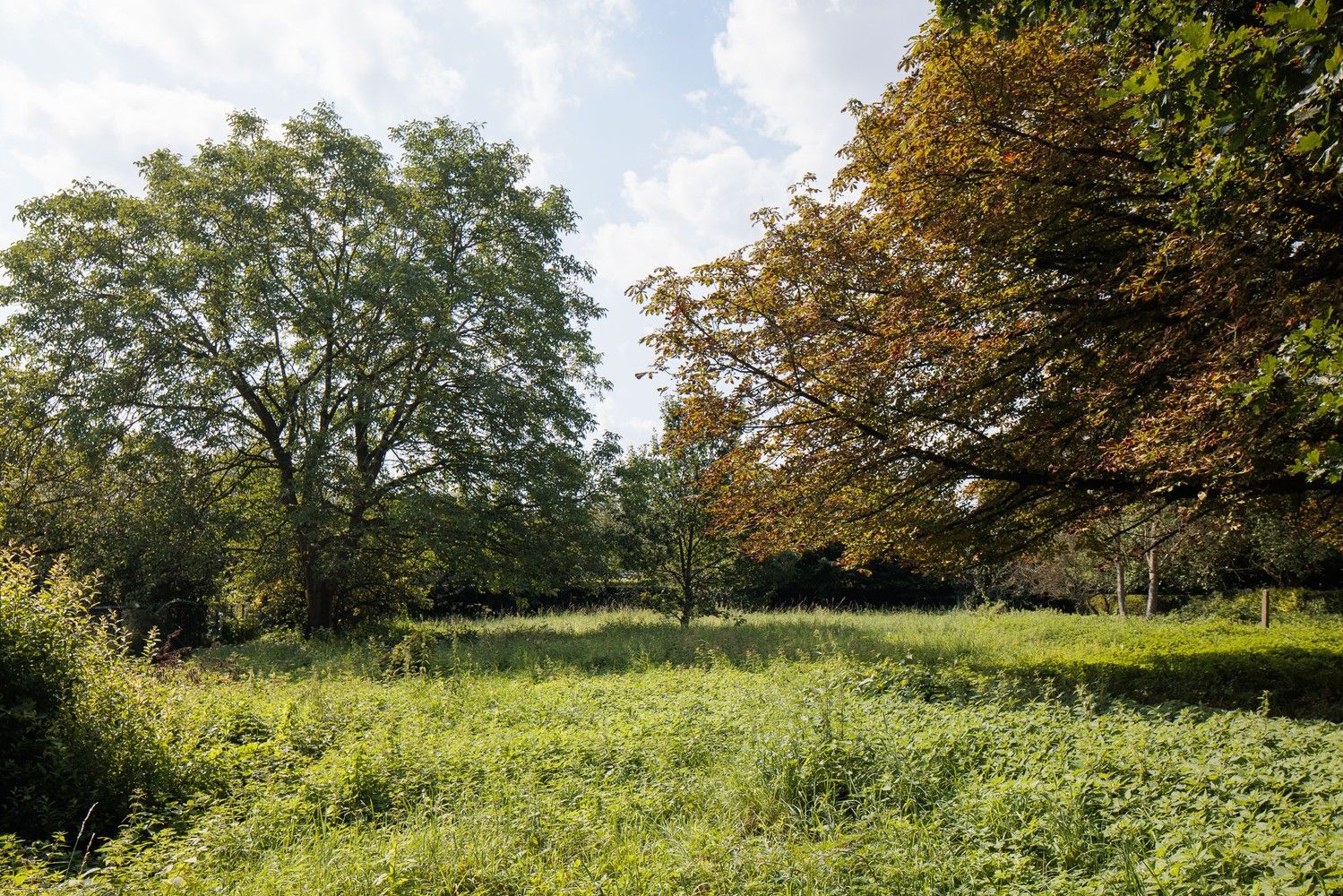 Ruime, zuid georiënteerde bouwgrond van ca 1.690m2 foto 6