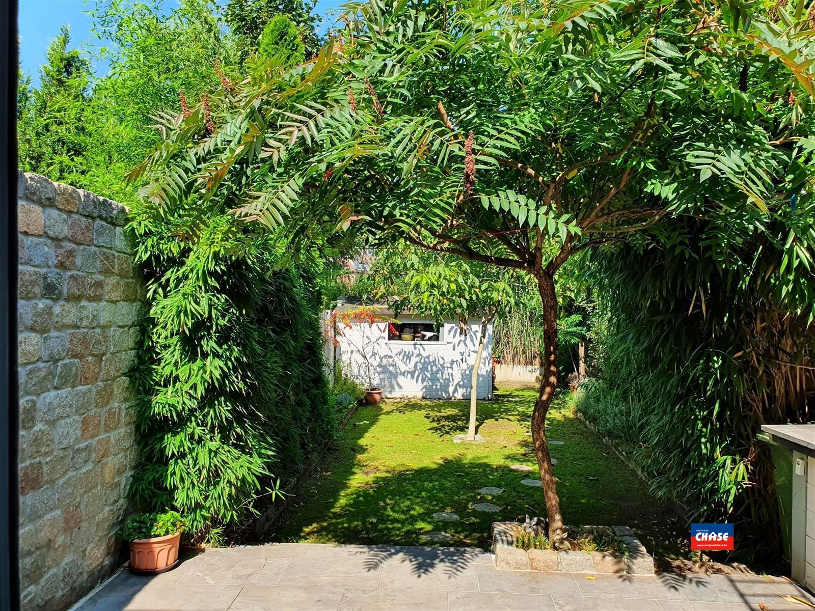 Rijwoning met drie slaapkamers en tuin foto 16