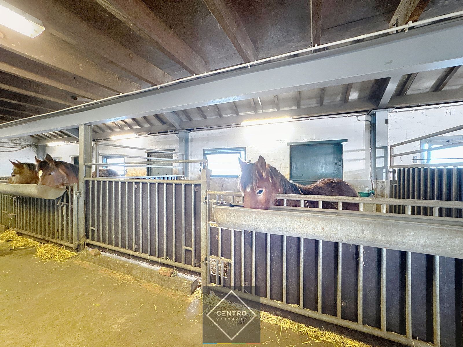UNIEK gelegen hoeve op TOPligging te Zuienkerke! foto 11