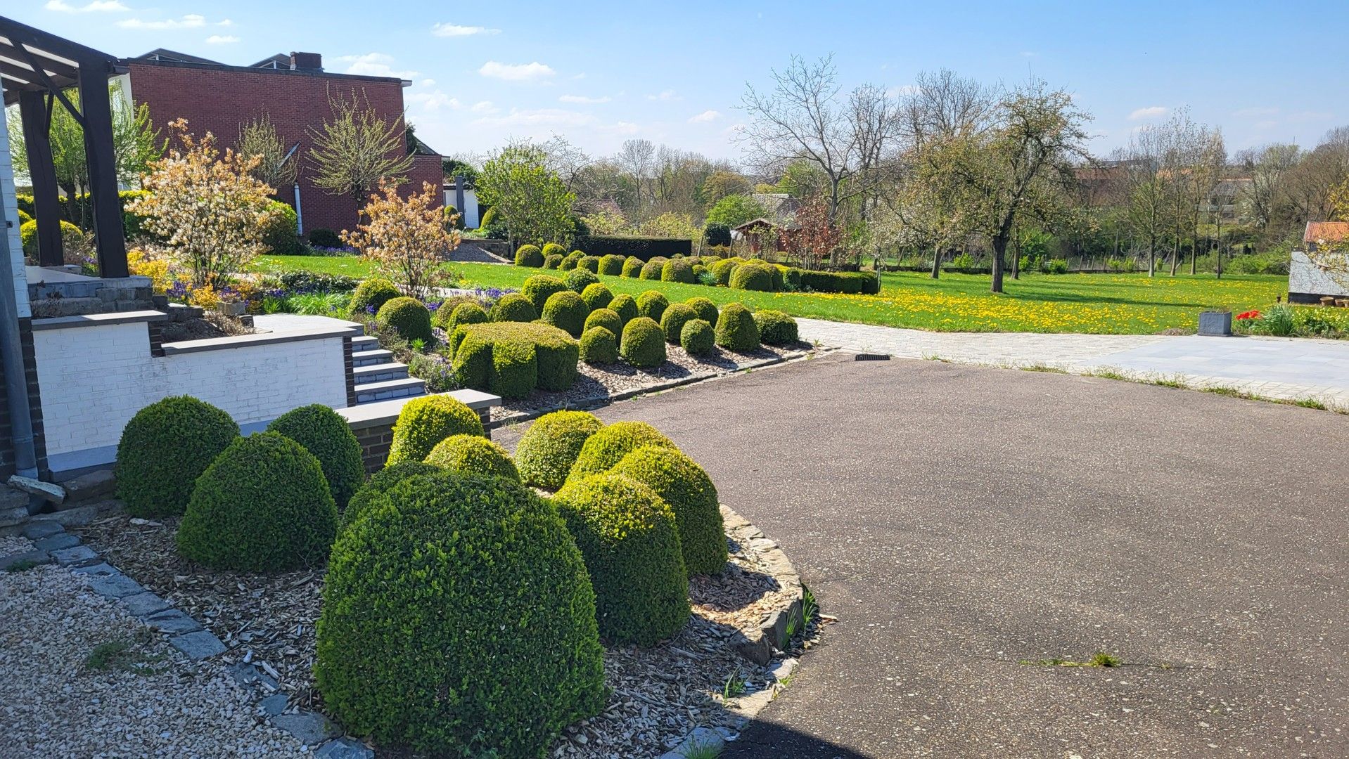 Prachtige bungalow in het lieflijke Neerlanden, temidden van de velden foto 2