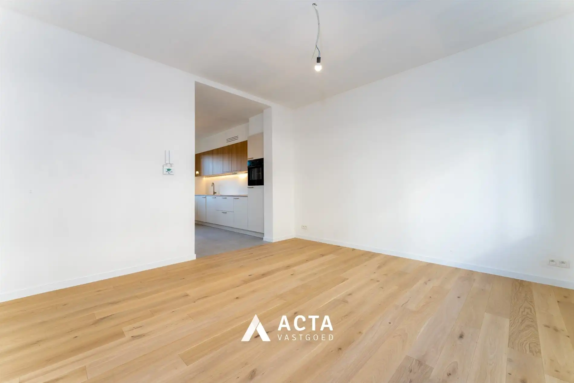 Recent gerenoveerd gelijkvloers appartement nabij centrum foto 3