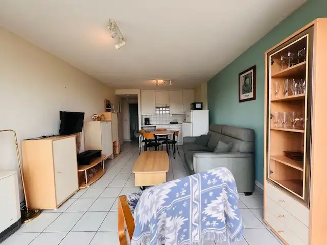 Appartement met 1 kamer en zijdelings zeezicht en duinenzicht foto 4
