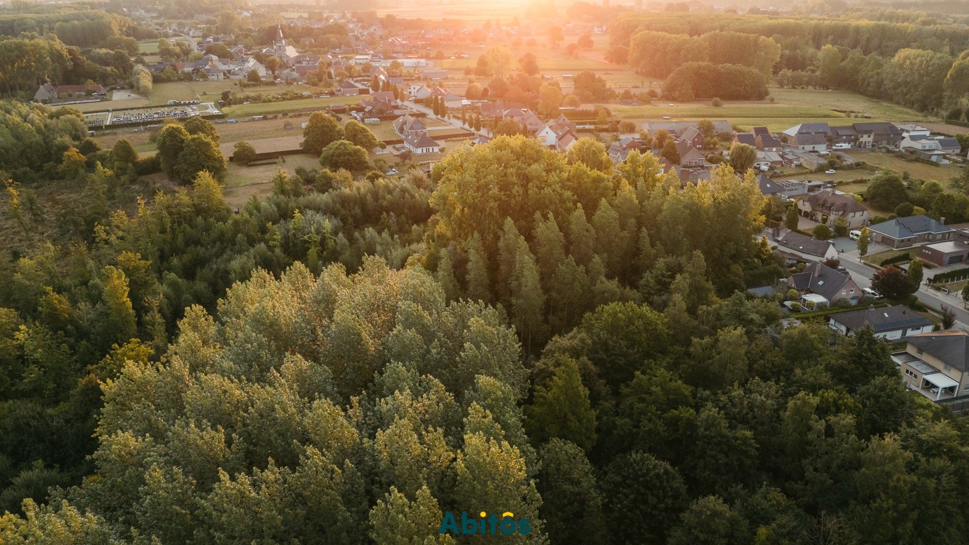 Bosgrond van 11.800 m² foto 2