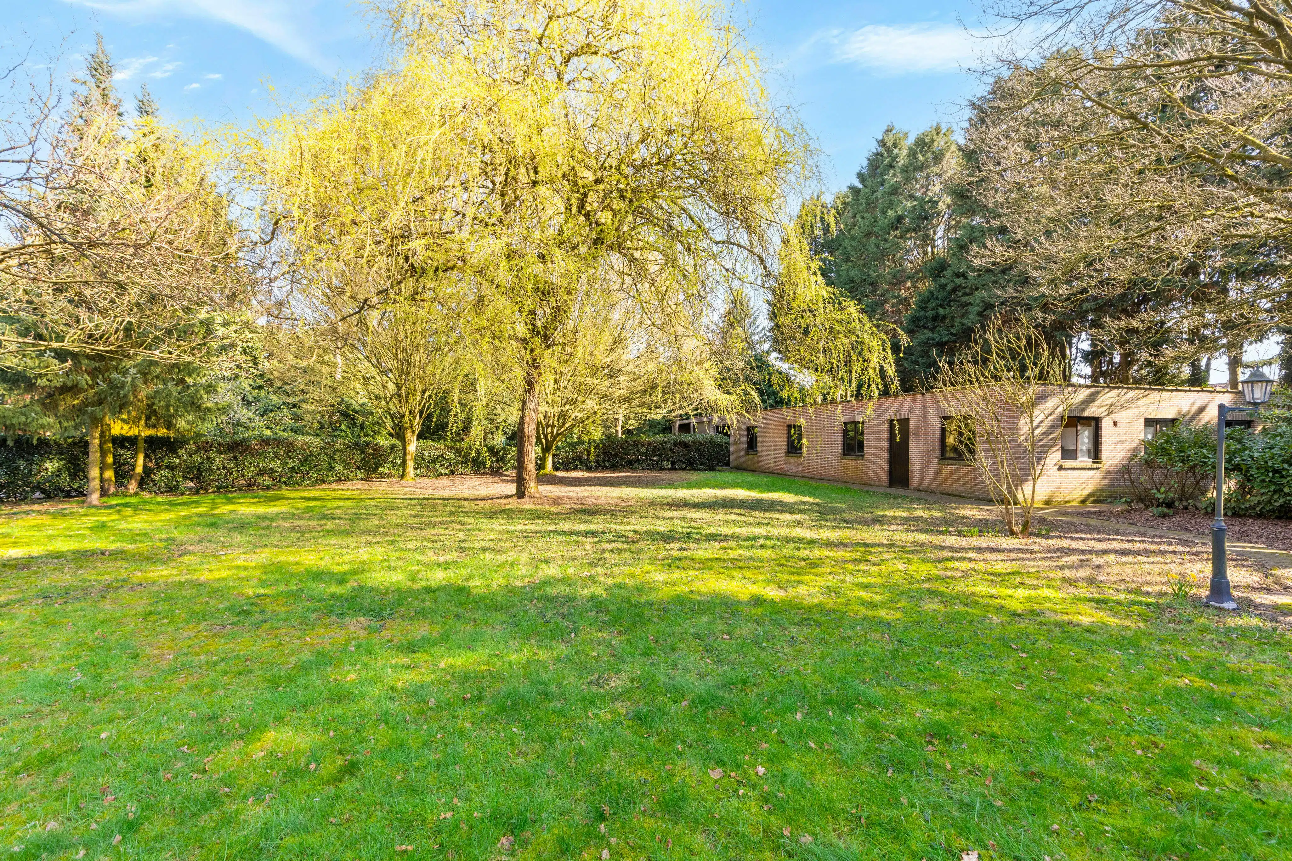 Woning en groot bijgebouw op 8.347m² in Sint-Job-in-’t-Goor foto 33