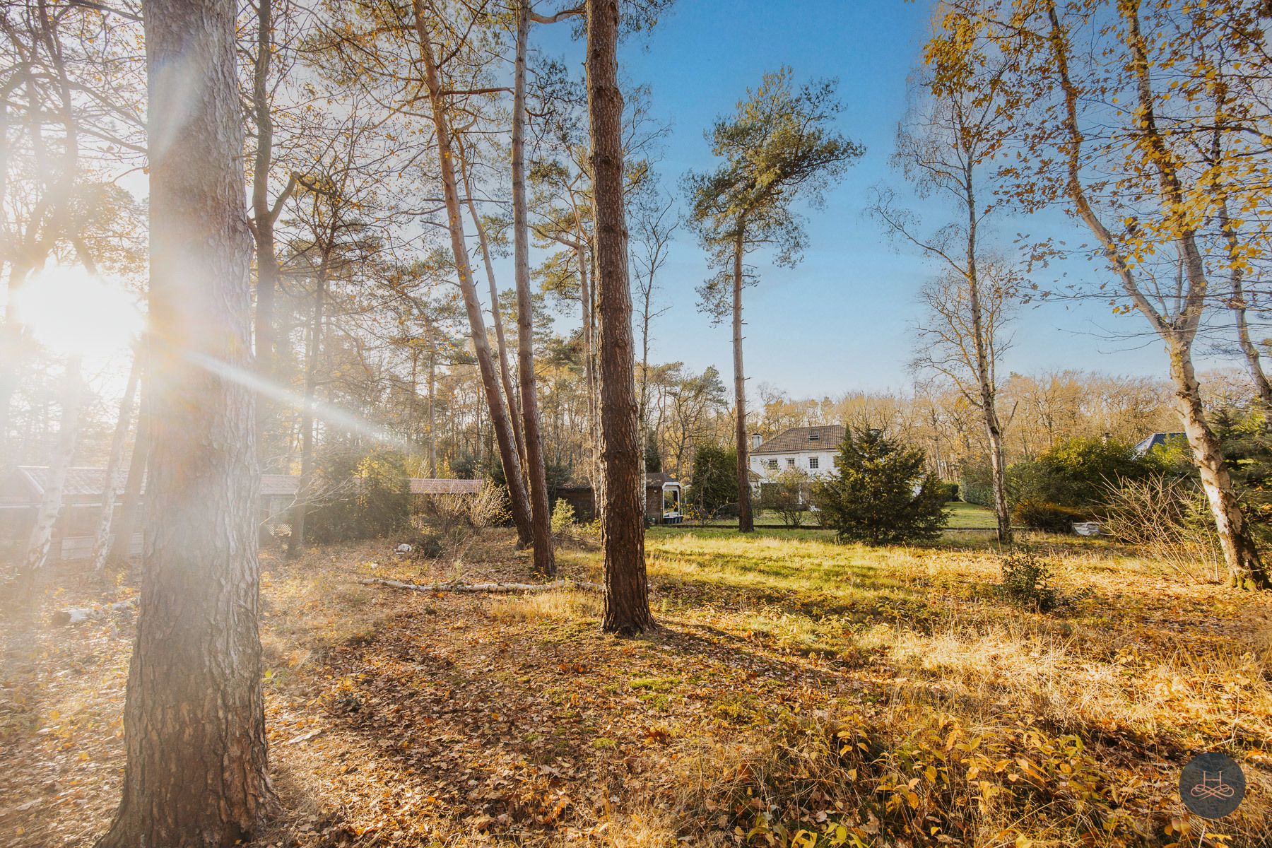 Riante villa op toplocatie in het groen met privé-bos foto 28