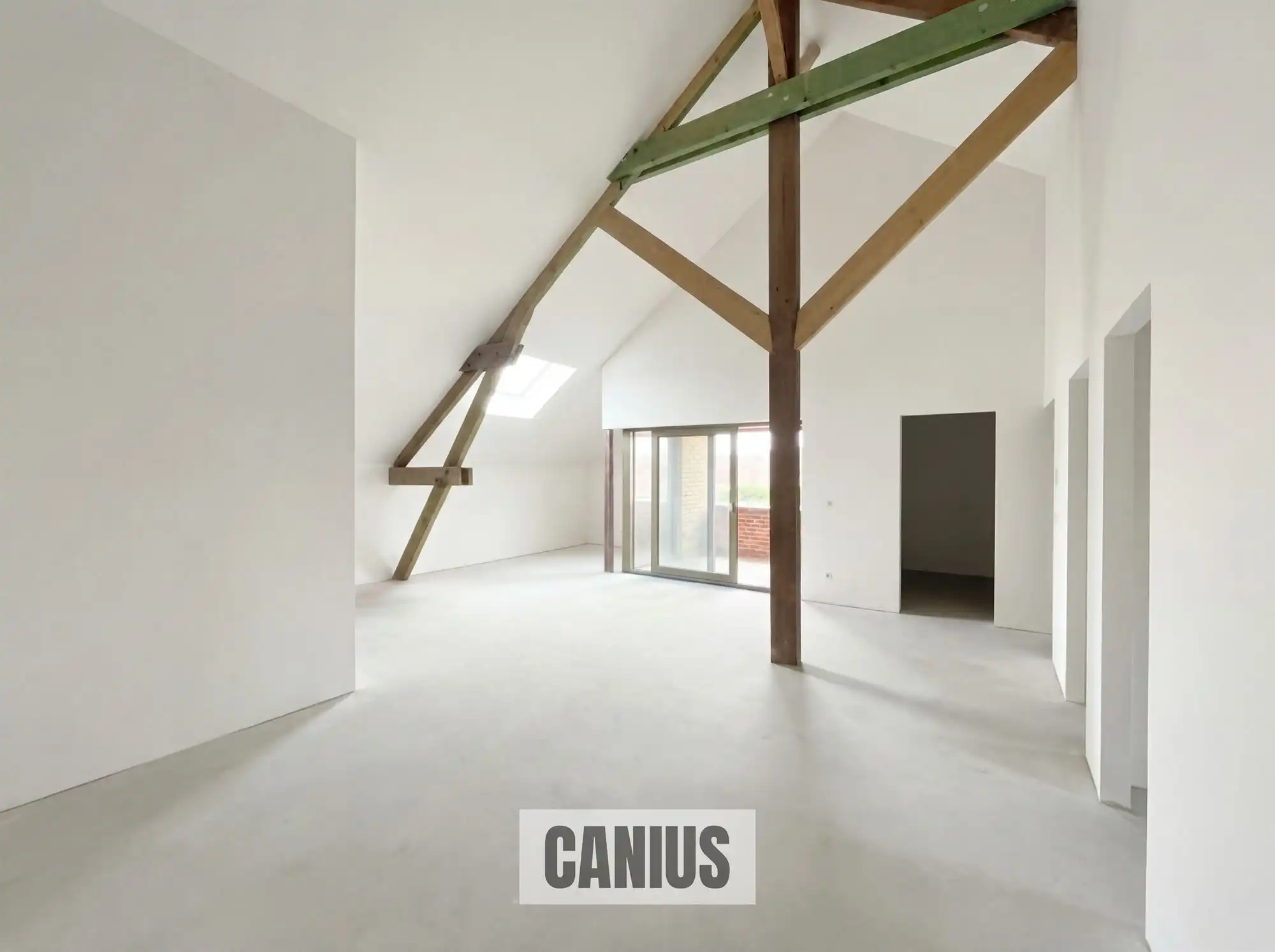 WONEN IN DE PAREL VAN HASPENGOUW foto {{pictureIndex}}