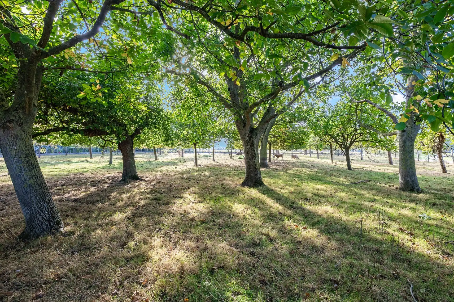 Charmante villa met panoramisch zicht op een toplocatie foto 47
