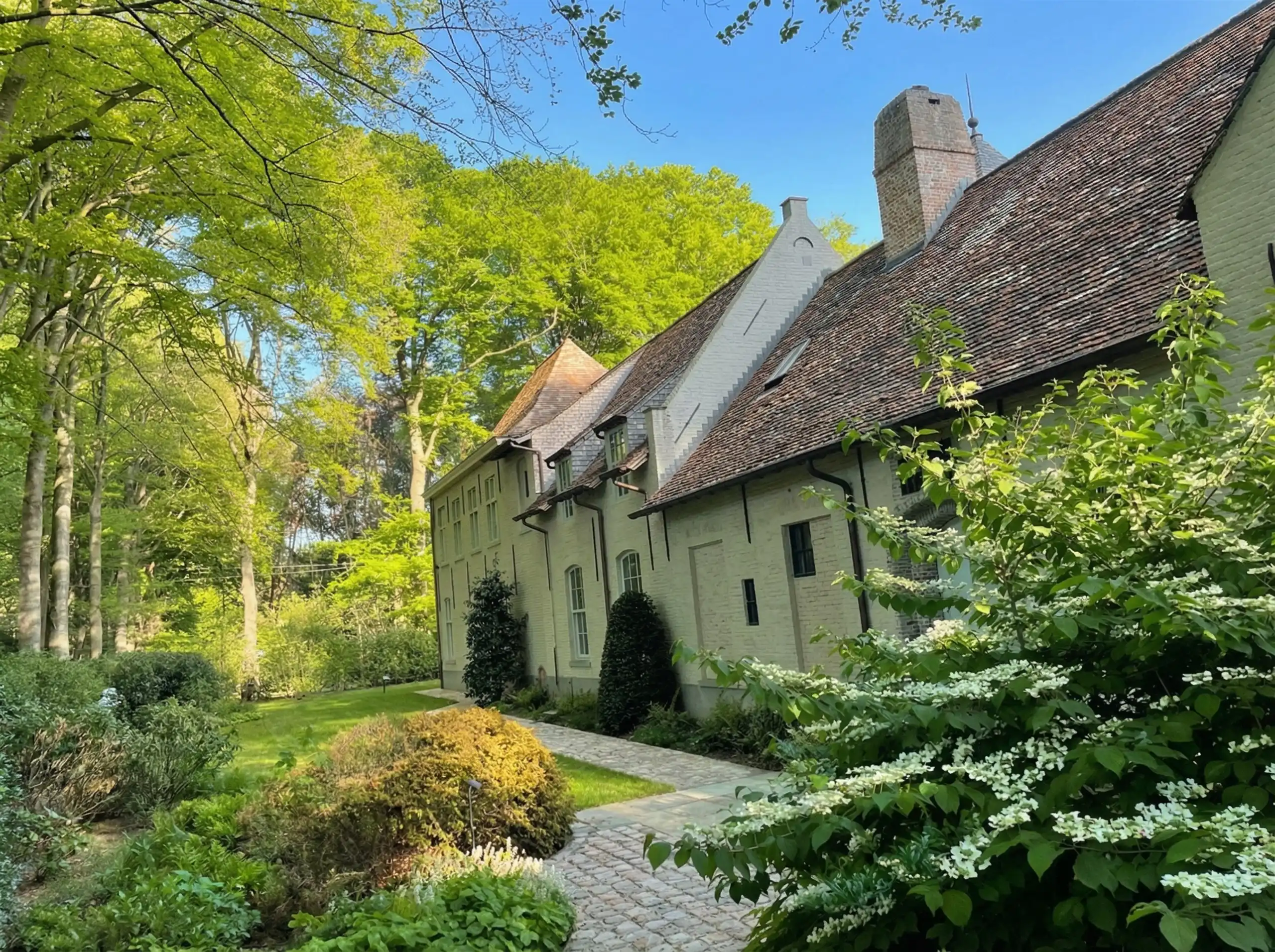Majestueus Meesterwerk in de bossen van Hertsberge foto 4