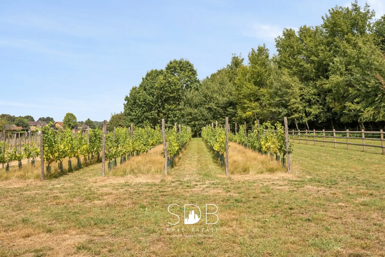 Wonen in Harmonie met de Natuur: Uw Exclusieve Landhuis op 1,5 Ha te Wachtebeke foto 25