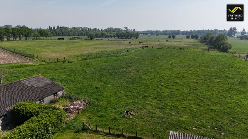 Vastgoed Select: Authentieke hoeve op 15.601 m² te koop in Damme - unieke ligging aan Damme Golf foto 6