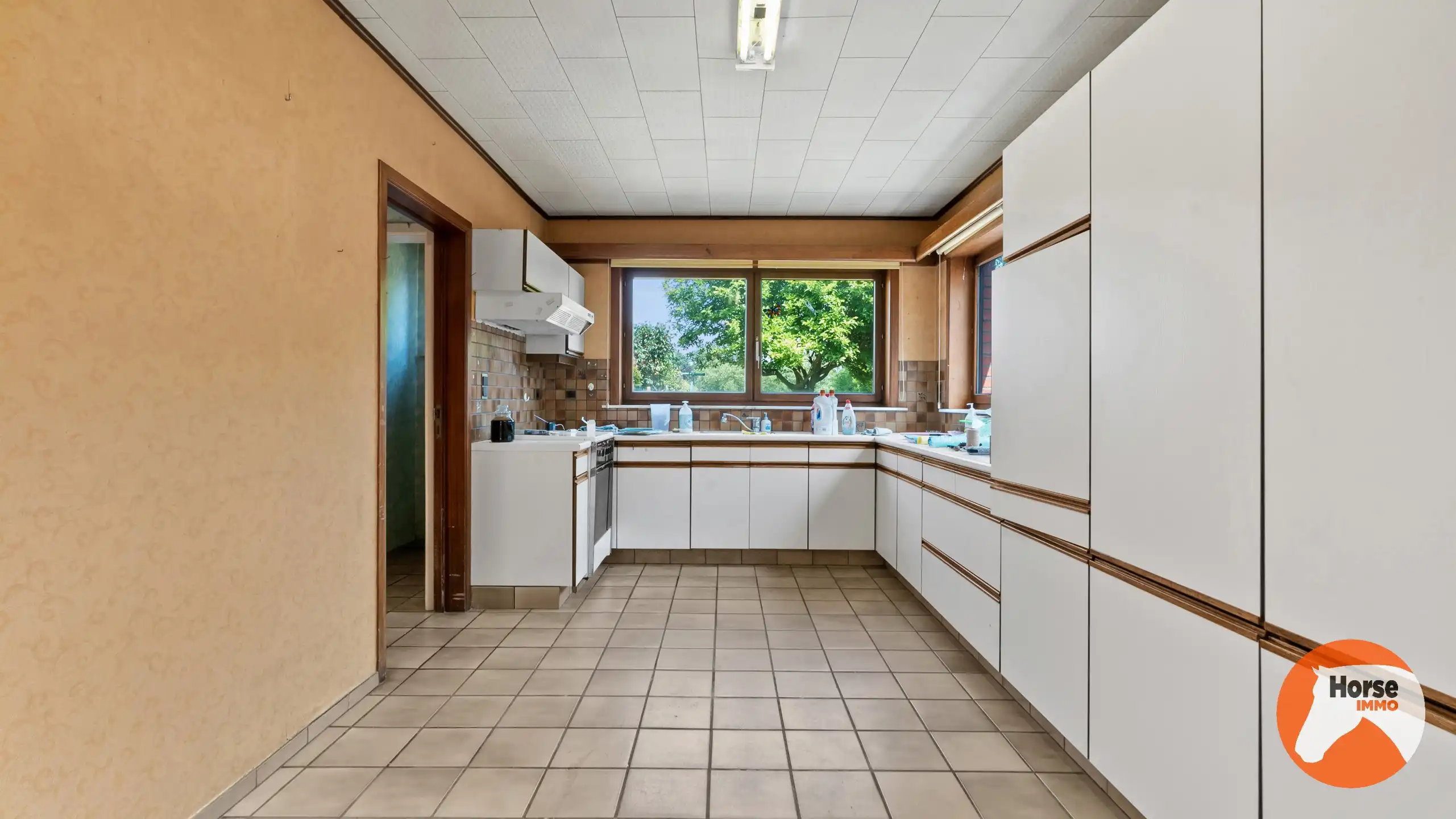 ZOTTEGEM - Te renoveren woning op ruim perceel van ca 45a foto 9