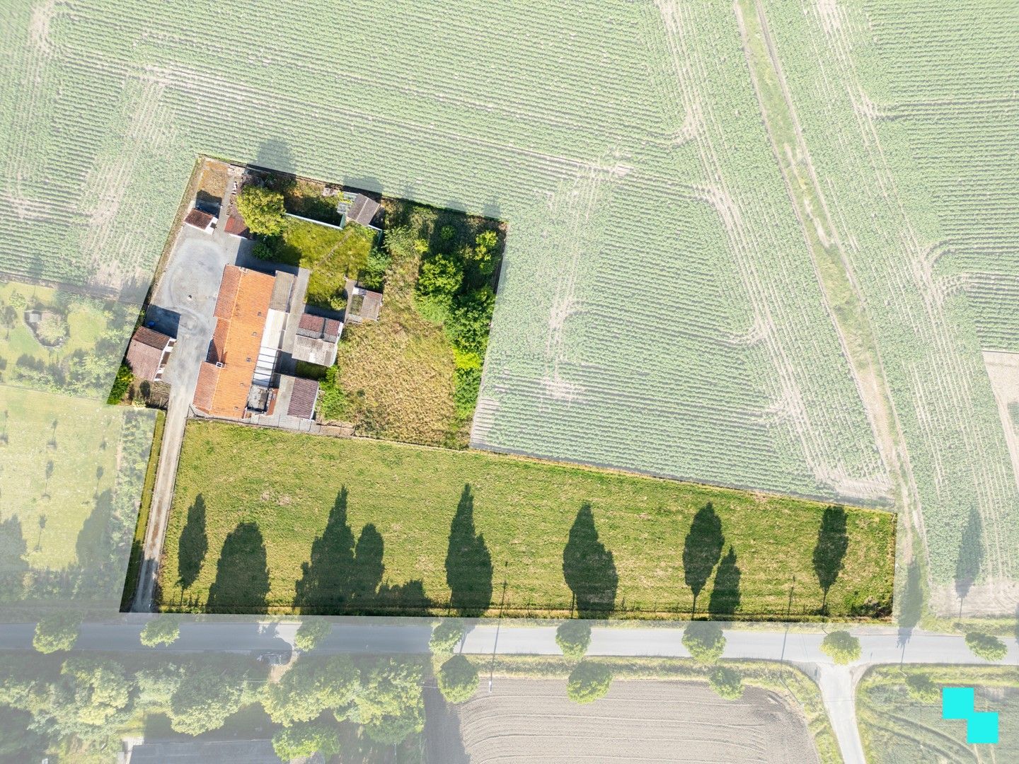 Landelijk te renoveren woning met verzichten foto 7