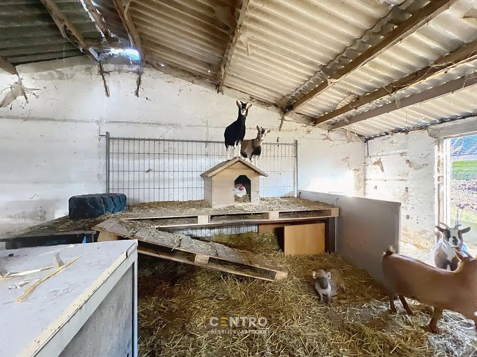 WOONST (4 slpk) met praktijkruimte, garages en extra STALLING op een ruim perceel van 820m²  te Gistel ! foto 29