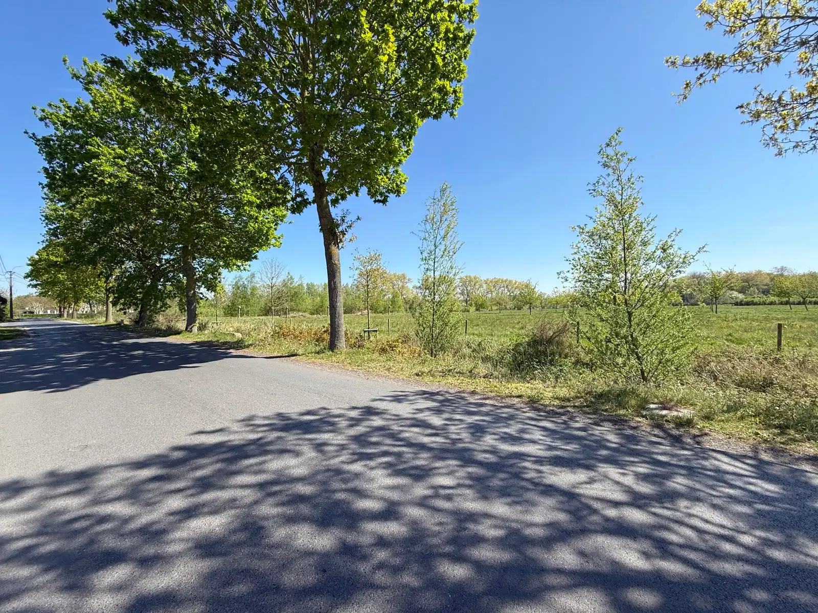 Landelijk gelegen woning met 4/5 slpks, zwembad en tuin foto 27