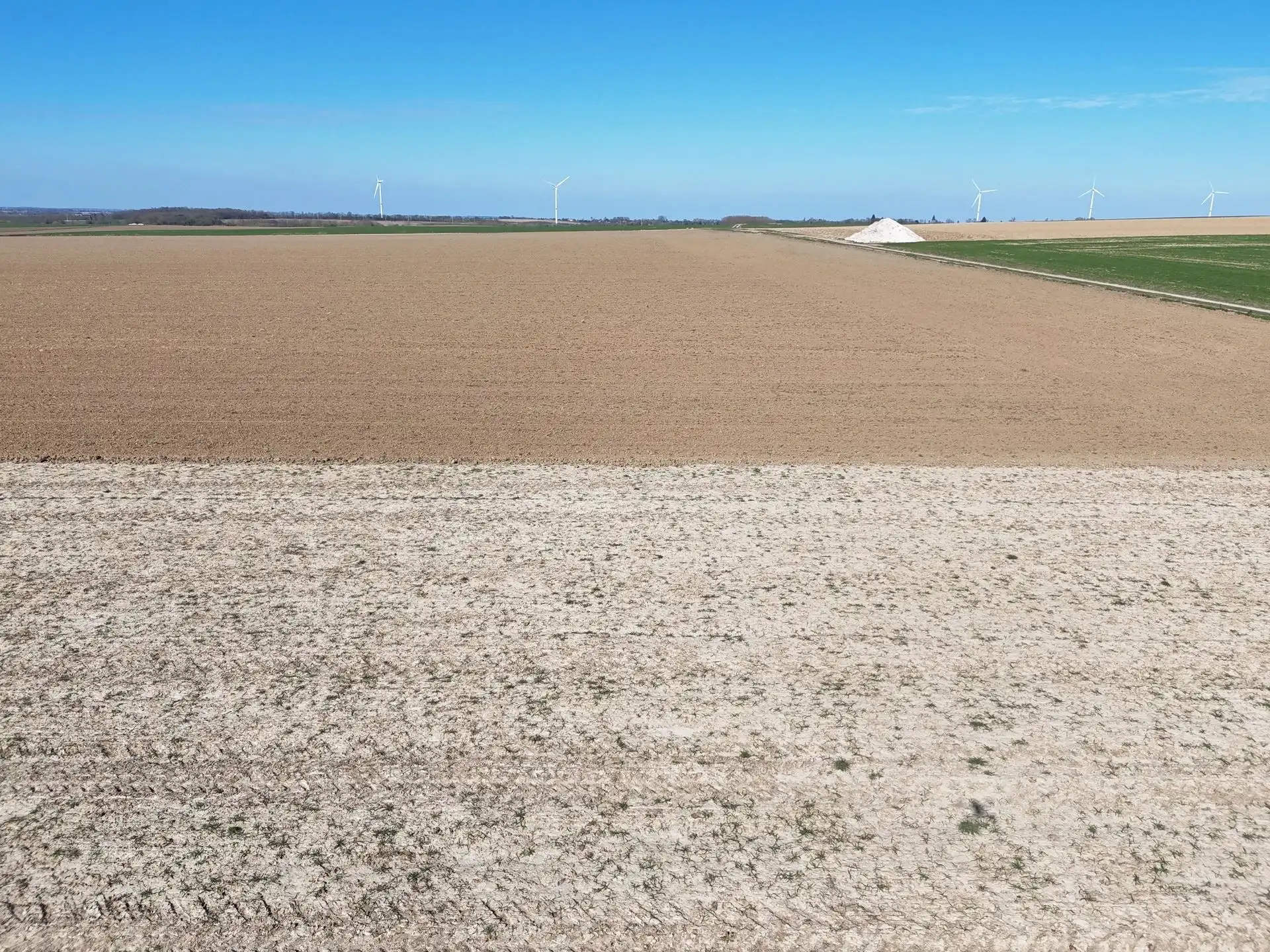 Groot perceel landbouwgrond - BLOK A foto 5