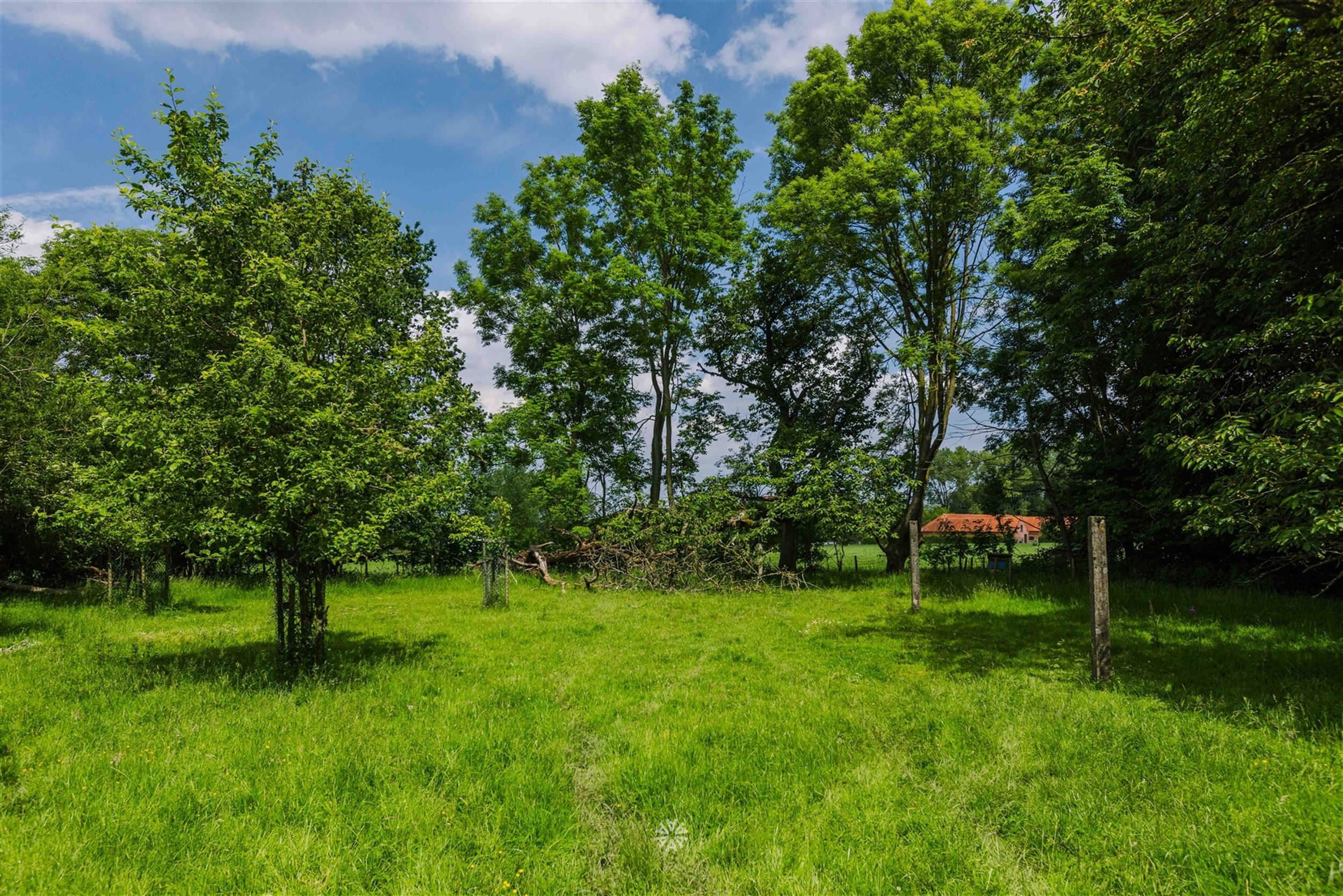 uniek gelegen vierkantshoeve in Schorisse foto 22