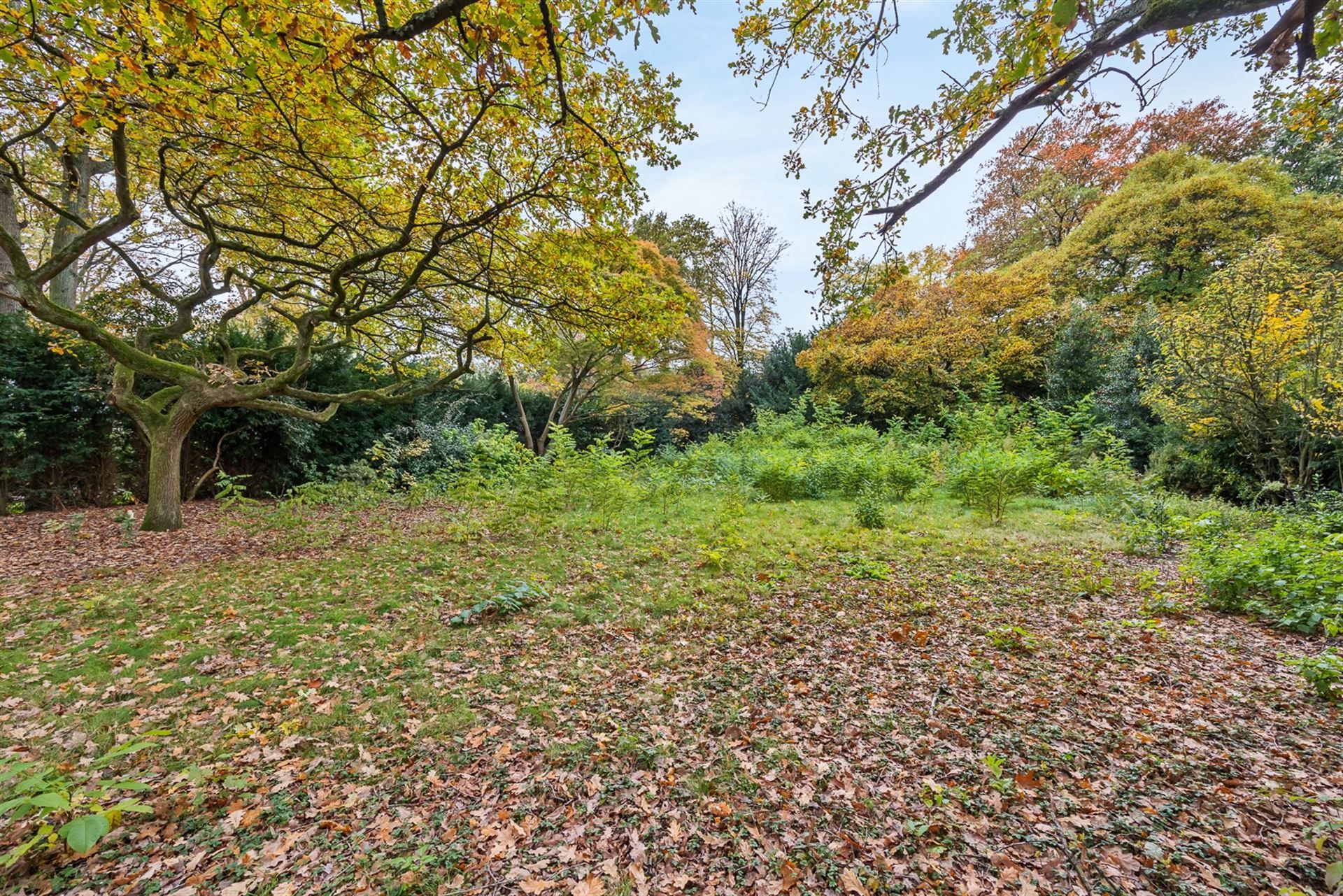 Karaktervolle Villa 1951 met Zuidwestgerichte Tuin foto 5
