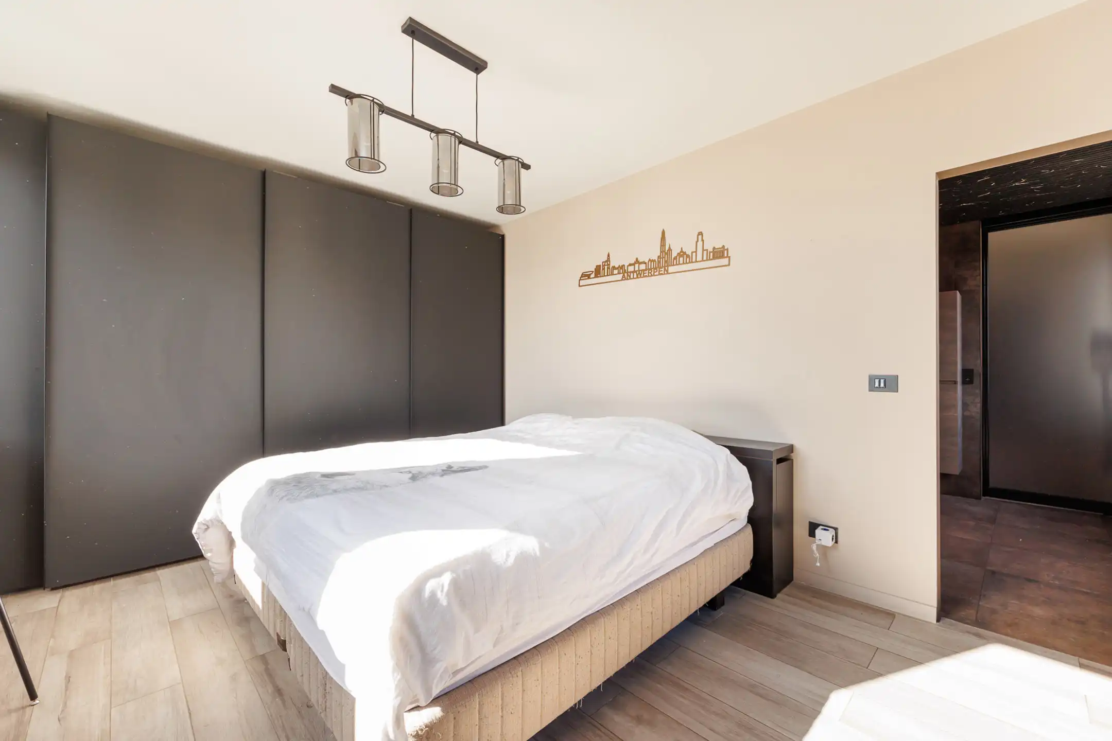 ANTWERPEN - Royaal appartement met verzichten foto 8