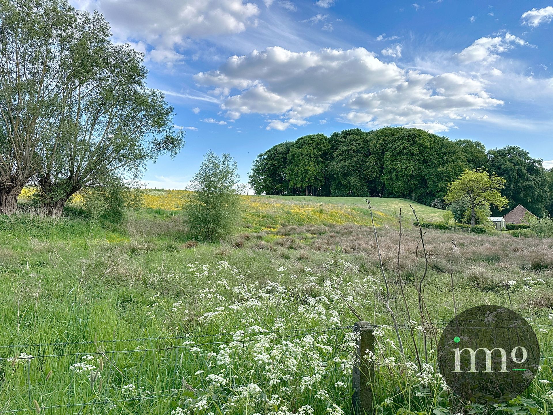 ***TOPLOCATIE***  Boerderijtje omgeven door weilanden foto 21