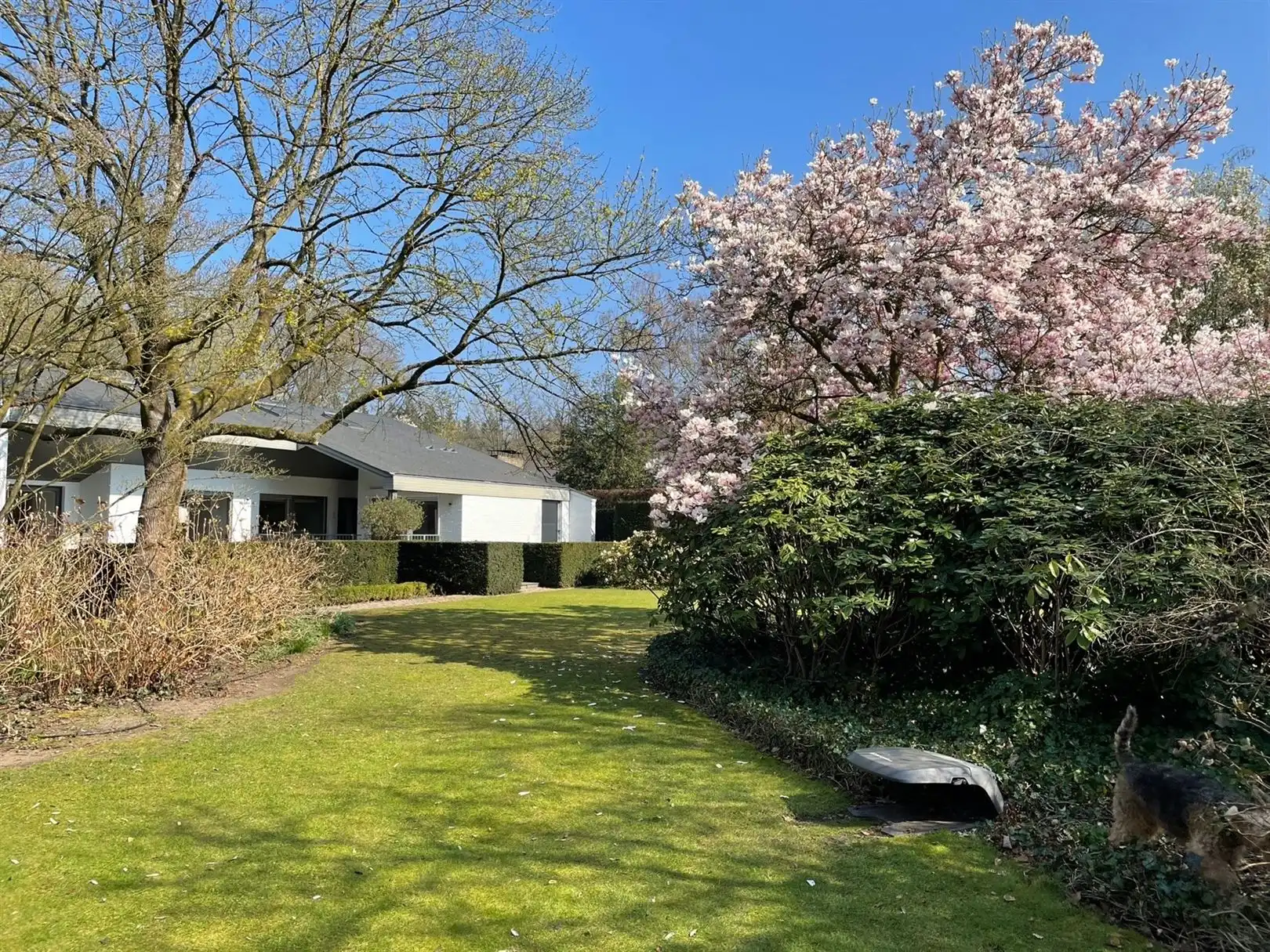 Tijdloze villa op goed bereikbare locatie in Bokrijk foto 29