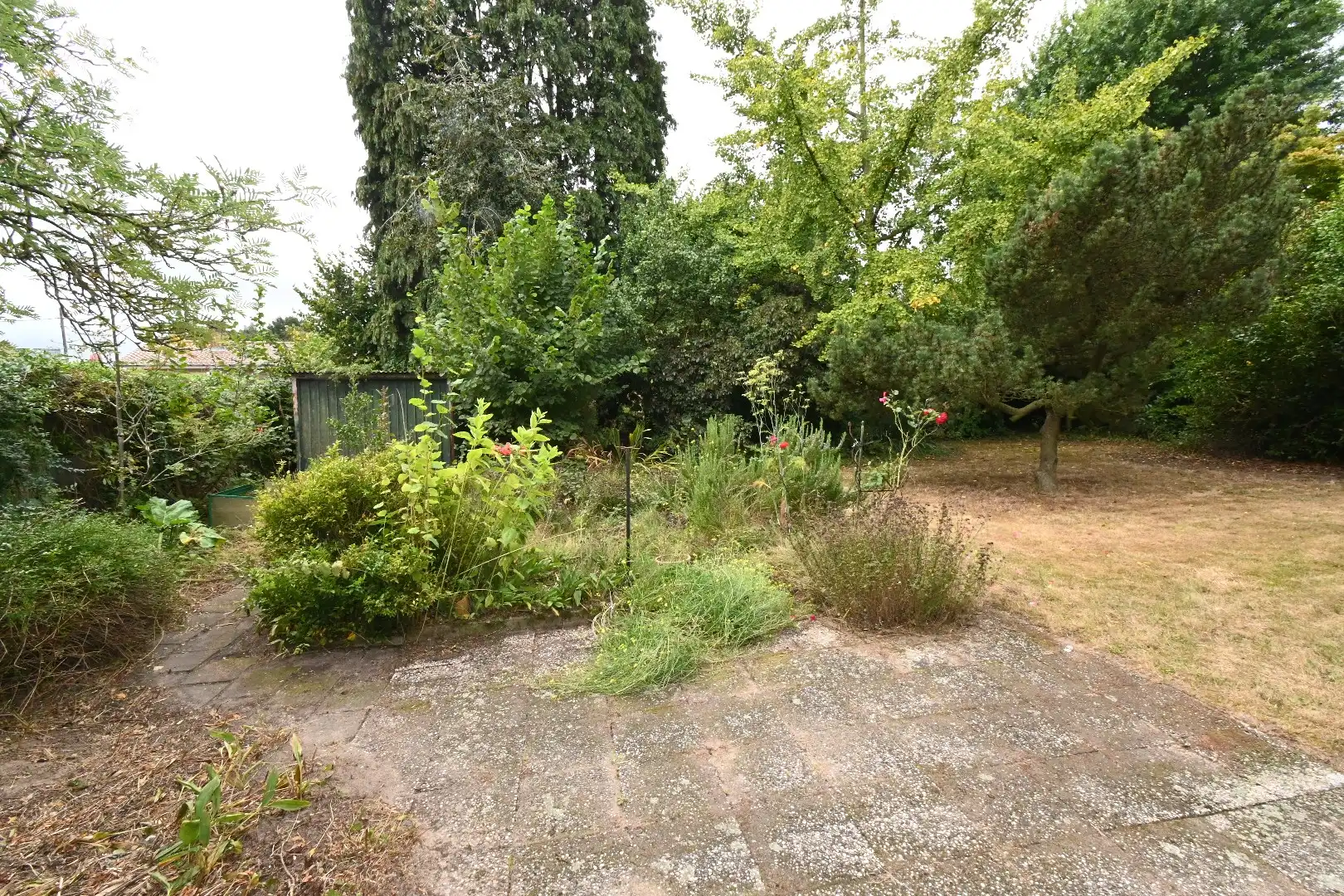 Alleenstaande woning met tuin gelegen rand centrum Maldegem foto 30